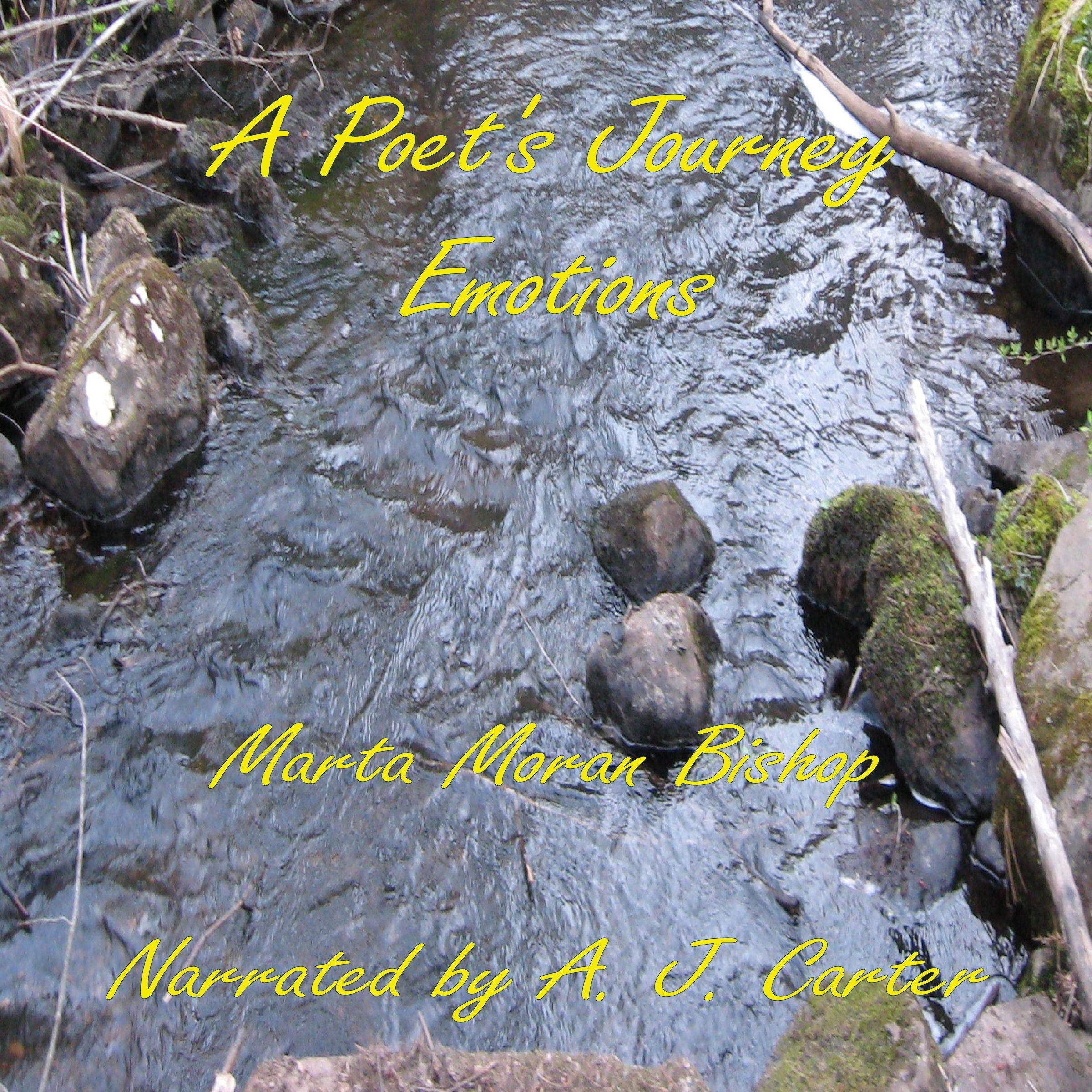 A Poet's Journey: Emotions