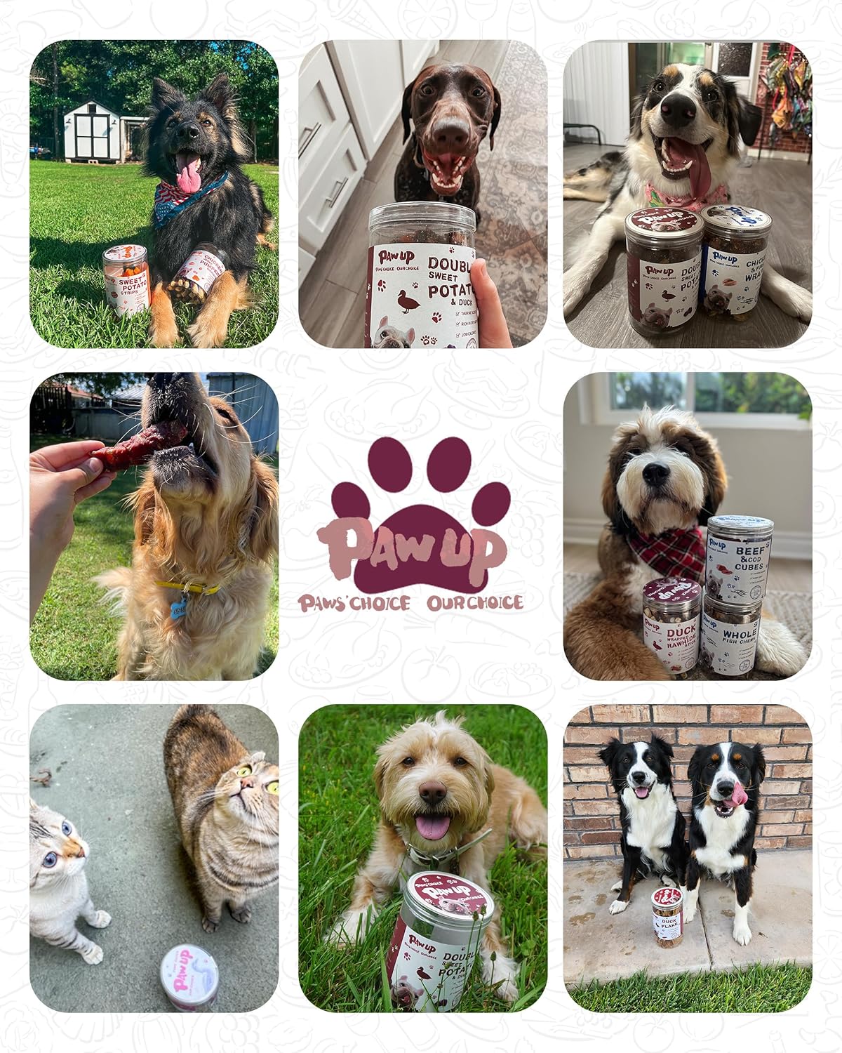 PAWUP Chicken & Duck Jerky Strips Dog Treats, Low Fat High Protein, Natural Chicken Dog Jerky, Training Treats for Small & Medium Dogs, 12.5 oz