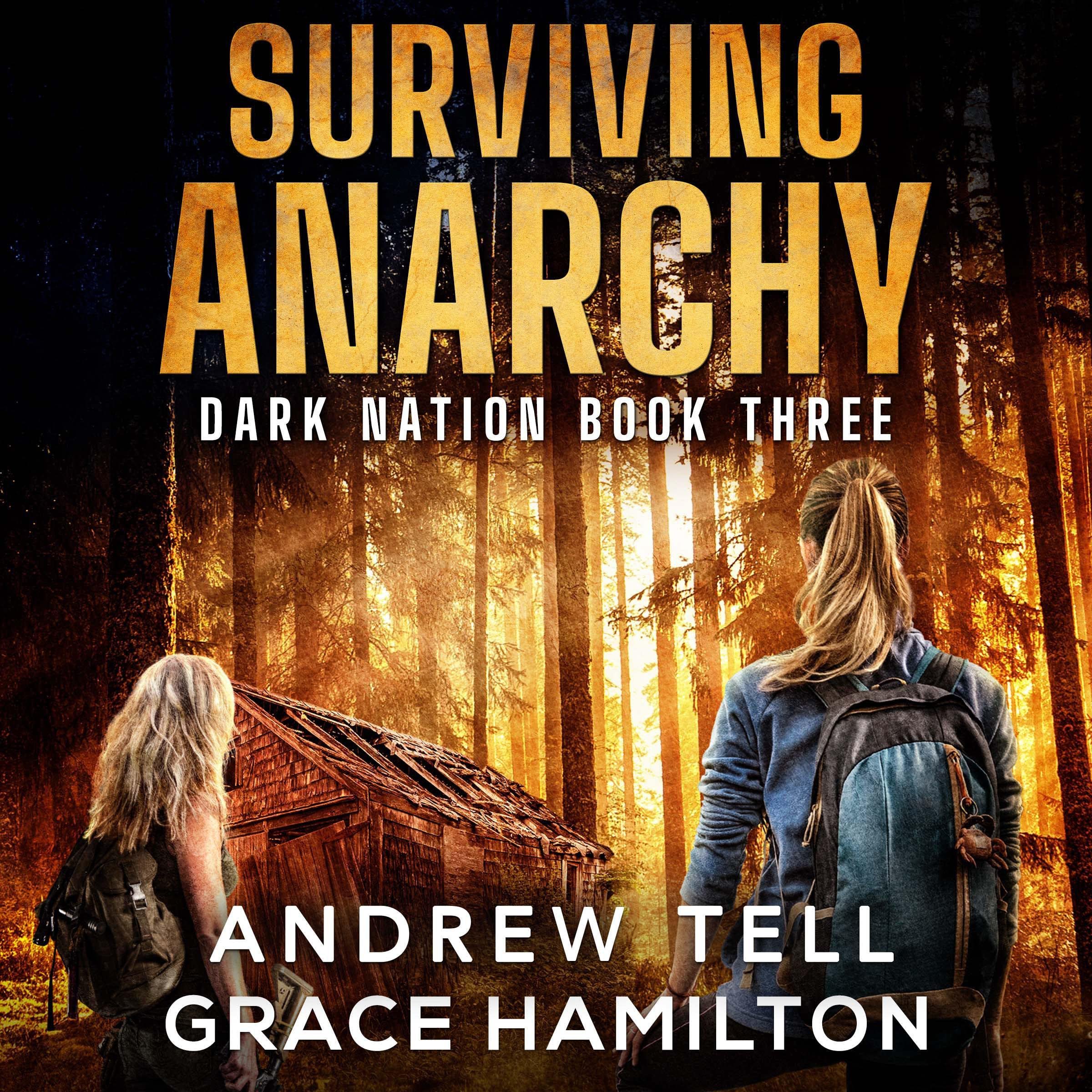 Cover art for Surviving Anarchy