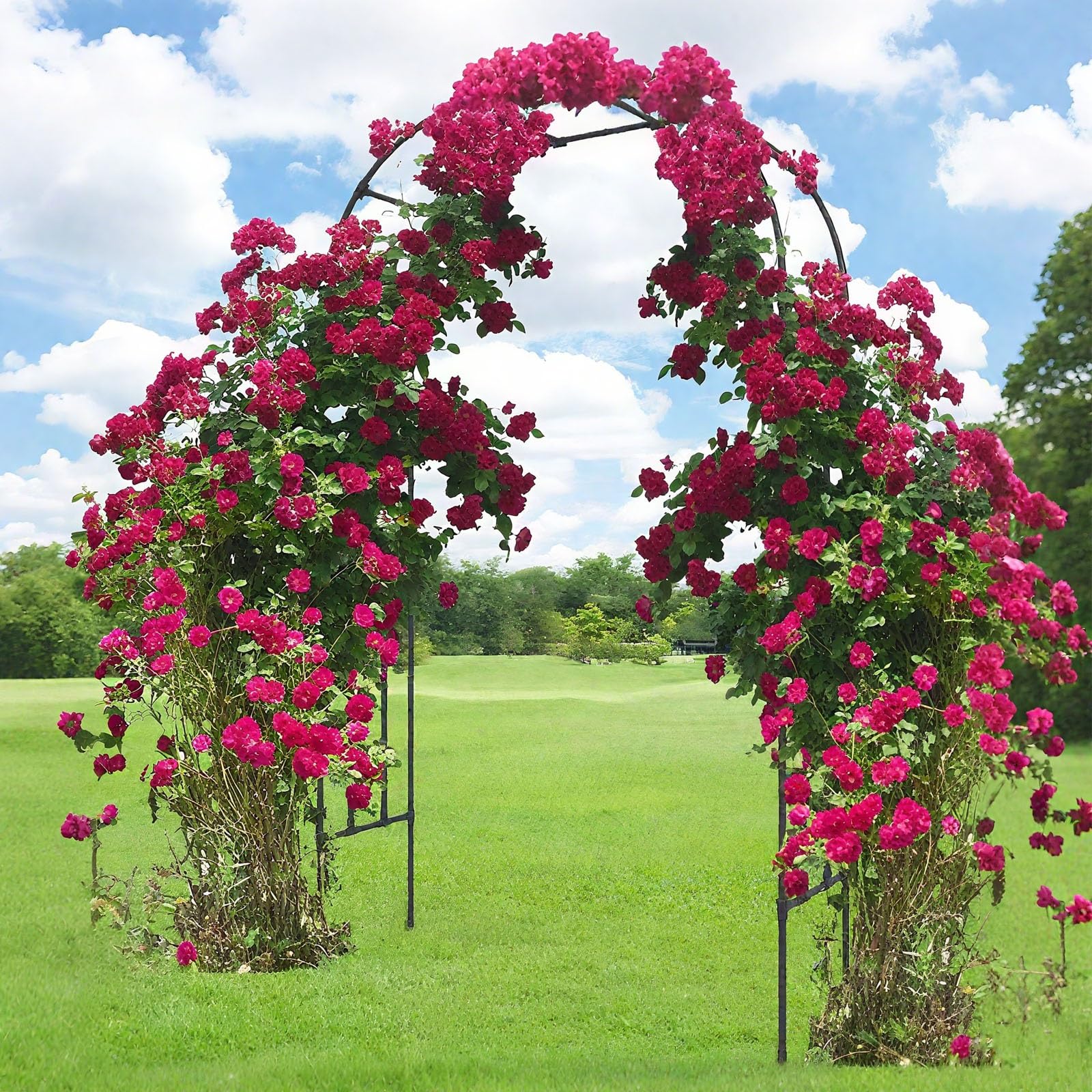 Metalowy łuk różany do pnącza, stojak na pergolę, 120 cm, 320 cm, dekoracja na wesele, imprezę, 210 x 270 cm (dł. x wys.)