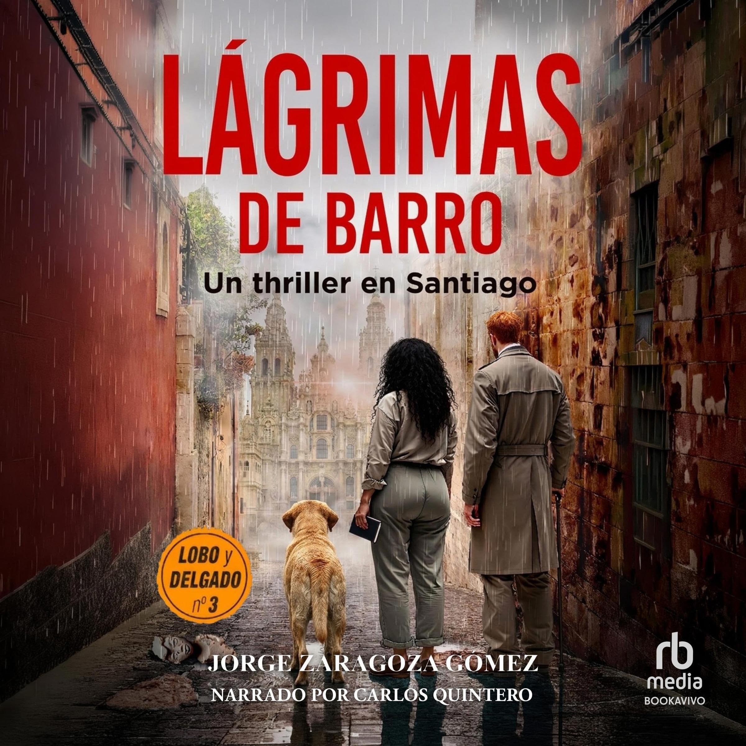 Cover art for Lágrimas de barro
