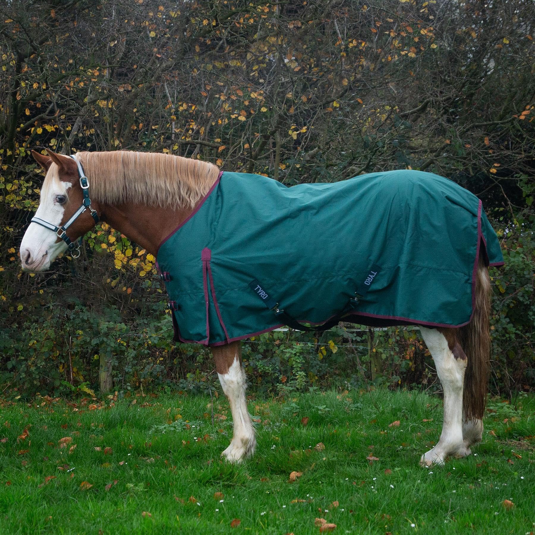 Tyro Zero No Fill Turnout Rug, 600D Ripstop Waterproof Horse Rain Sheet with Detachable Leg Straps, Tail Cover, Shoulder Pleat, Crossed Surcingles (Green, 5ft 0)