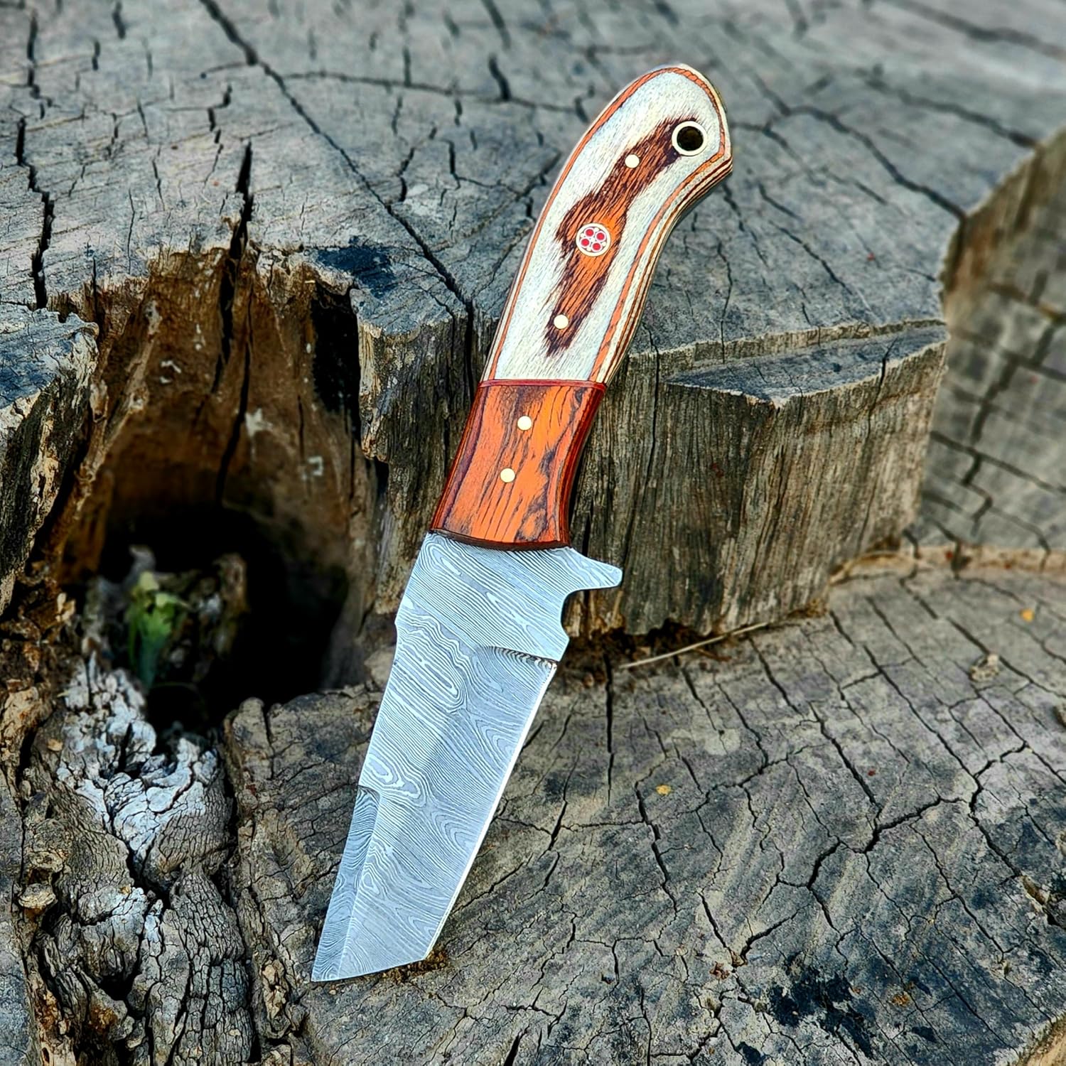 Wolf Cut Handmade Damascus Bull cutter knife lineman hawkbill knife Outdoor Hunting knife, 7.5" inch EDC Fixed blade electrician Knife, Cowboy knife, Utility Knife With Classic Pancake leather Sheath (Orange & White)