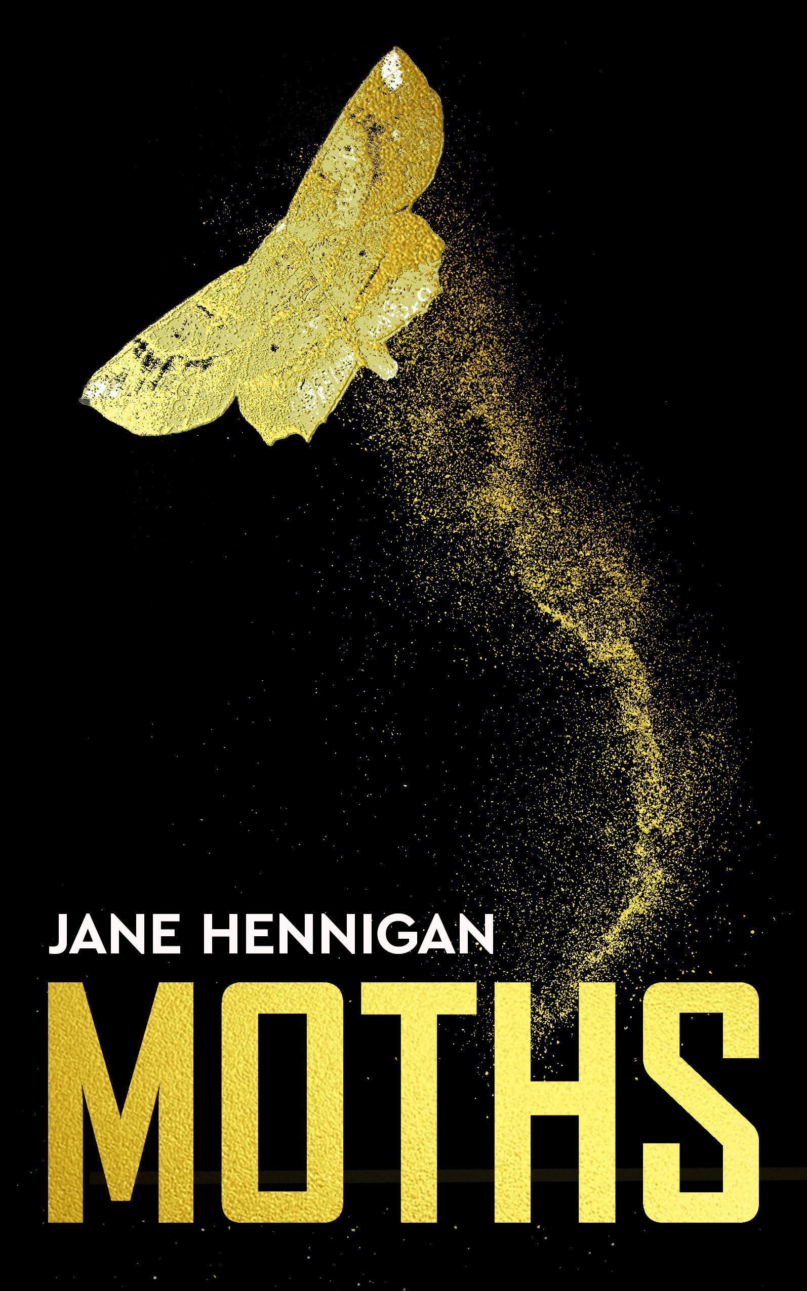 Moths by Jane Hennigan (2023, Trade Paperback)
