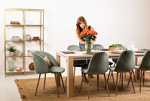 Miniatura 14 de 24 rosas arcoiris de tallo largo