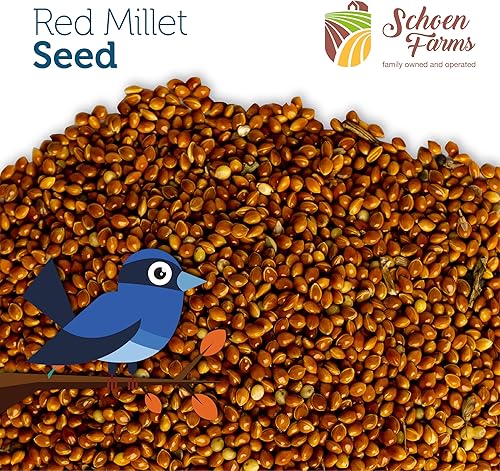 Miniatura 4 de Mijo rojo (5 libras) para pájaros, cardenales, garabatos, trepadores, pájaros carpinteros y pájaros cantores