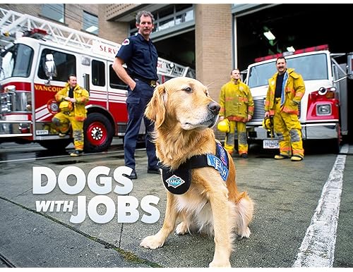 Best Animal Airports 2024 | A Comprehensive Guide