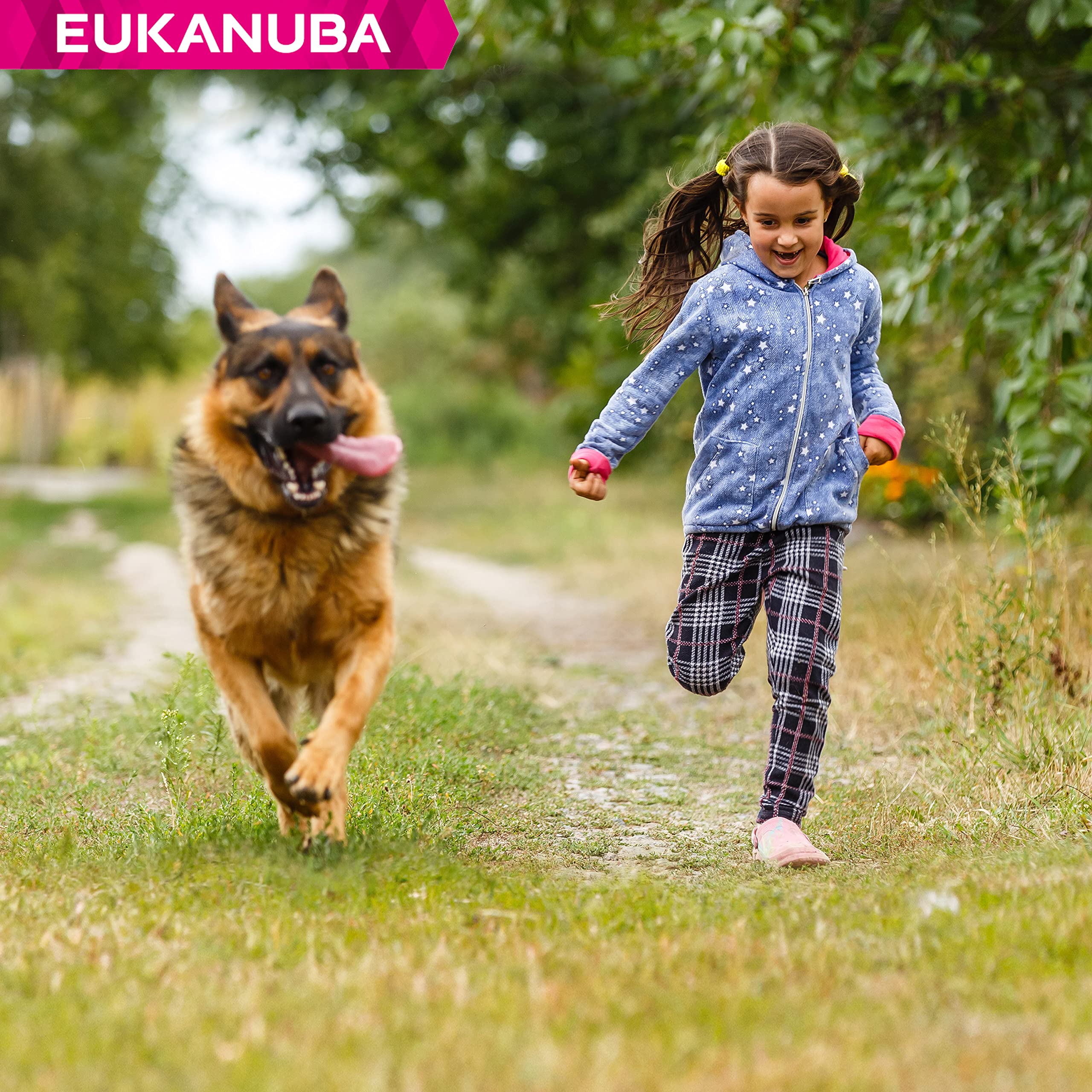 Eukanuba Chien Nourriture sèche Berger Allemand Poulet 12kg