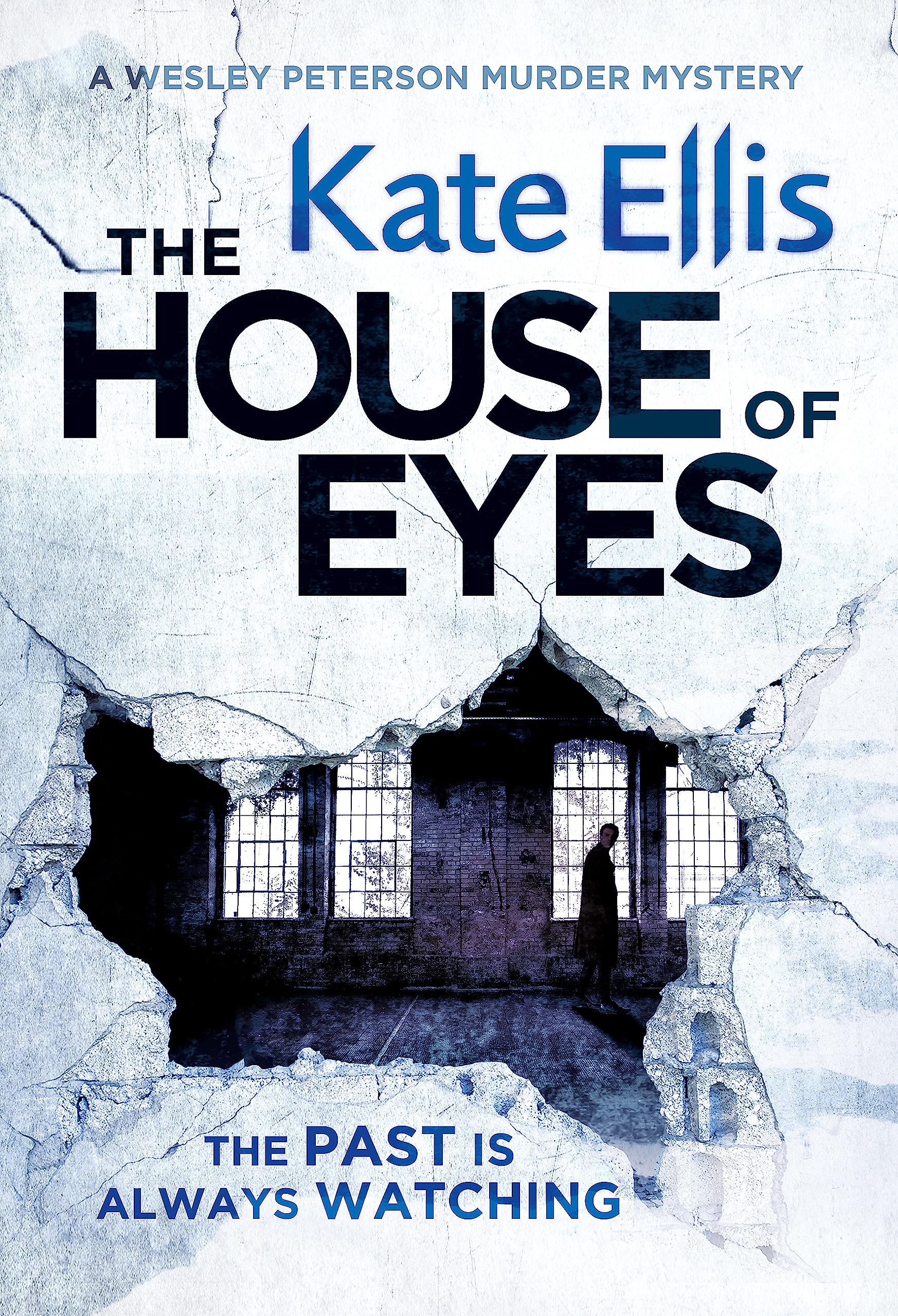 The House of Eyes: Book 20 in the DI Wesley Peterson crime series
