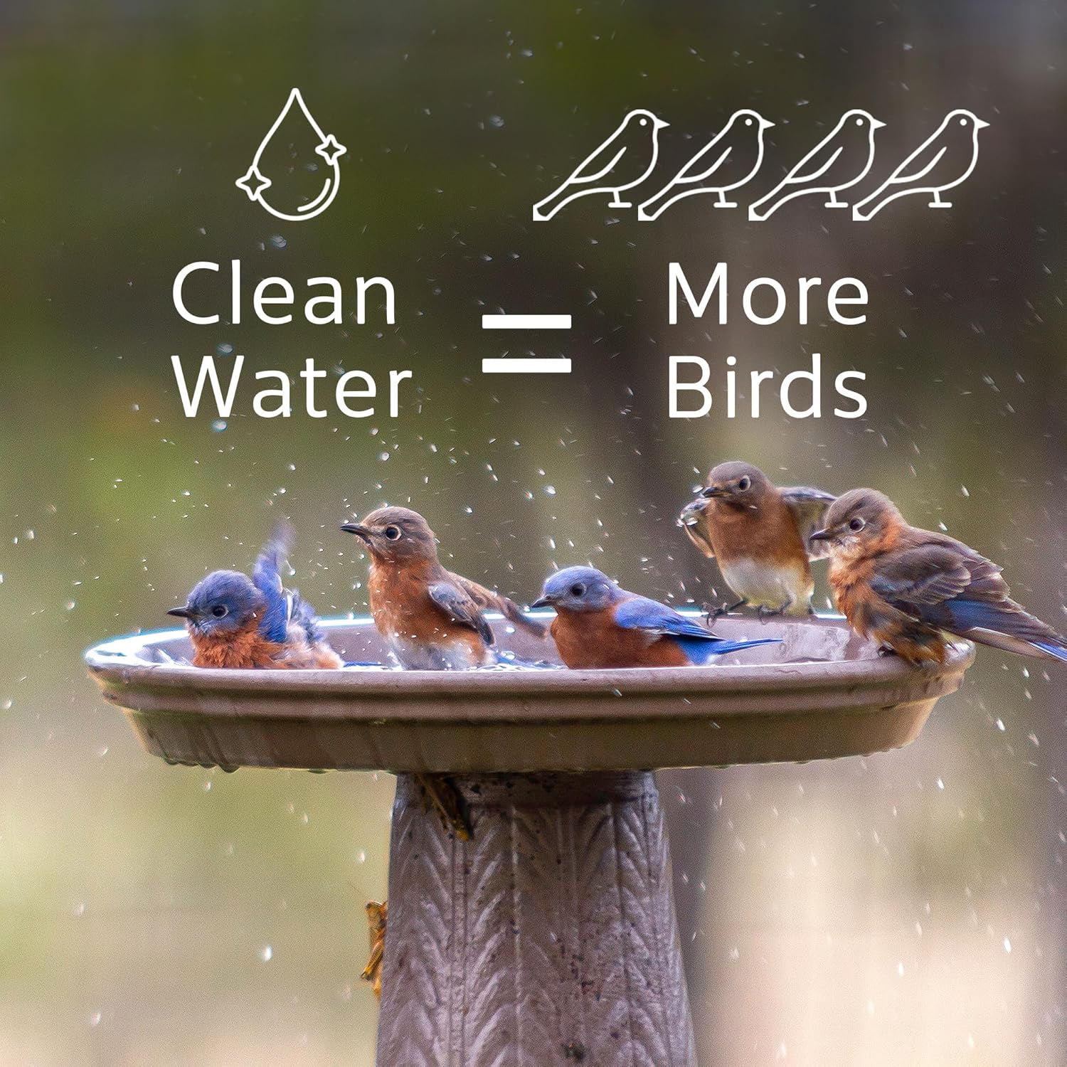 Microbe-Lift Bird Bath Clear Two-in-One Water Cleaner – 4 Oz – Safe for Birds, Fish & Frogs – Cleans Outdoor Birdbaths & Fountains – Natural Formula, Prevents Stains & Cloudiness