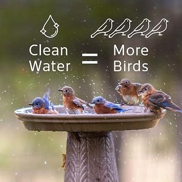 Microbe-Lift Bird Bath Clear Two-in-One Water Cleaner 4 Oz Safe for Birds, Fish & Frogs Cleans Outdoor Birdbaths & Fountains Natural Formula, Prevents Stains & Cloudiness