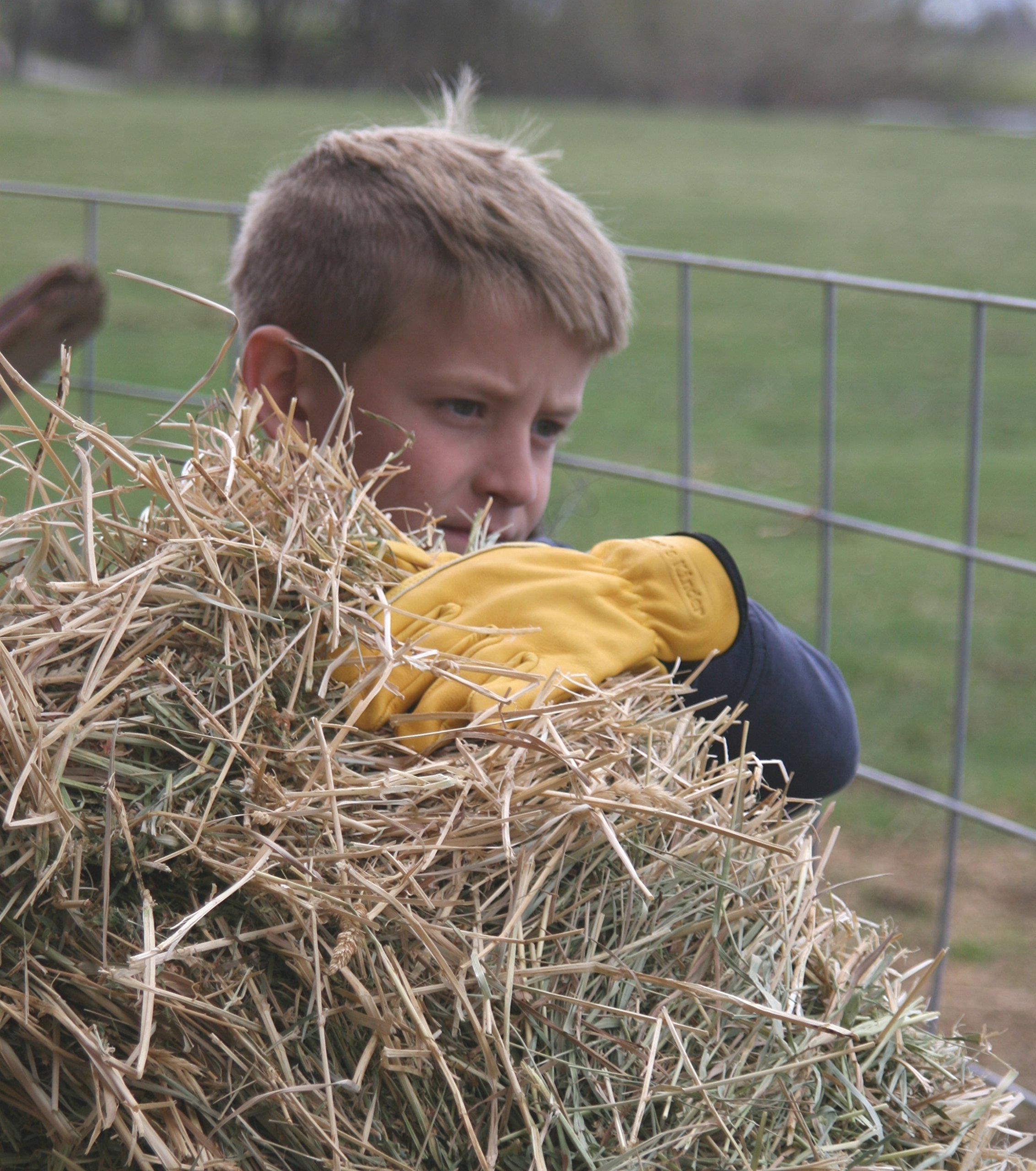 Suse's Kinder Kinder-Gartenhandschuhe, Leder, Arbeitshandschuhe für Kleinkinder, Spiel, Arbeitsgröße (Größe S 3–5 Jahre)