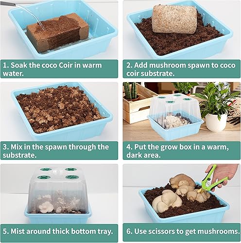 Miniatura 4 de LUVCOSY Kit de herramientas de cultivo de hongos, cámara de fructificación de hongos Monotub con rejillas de ventilación para cambio de aire fresco,