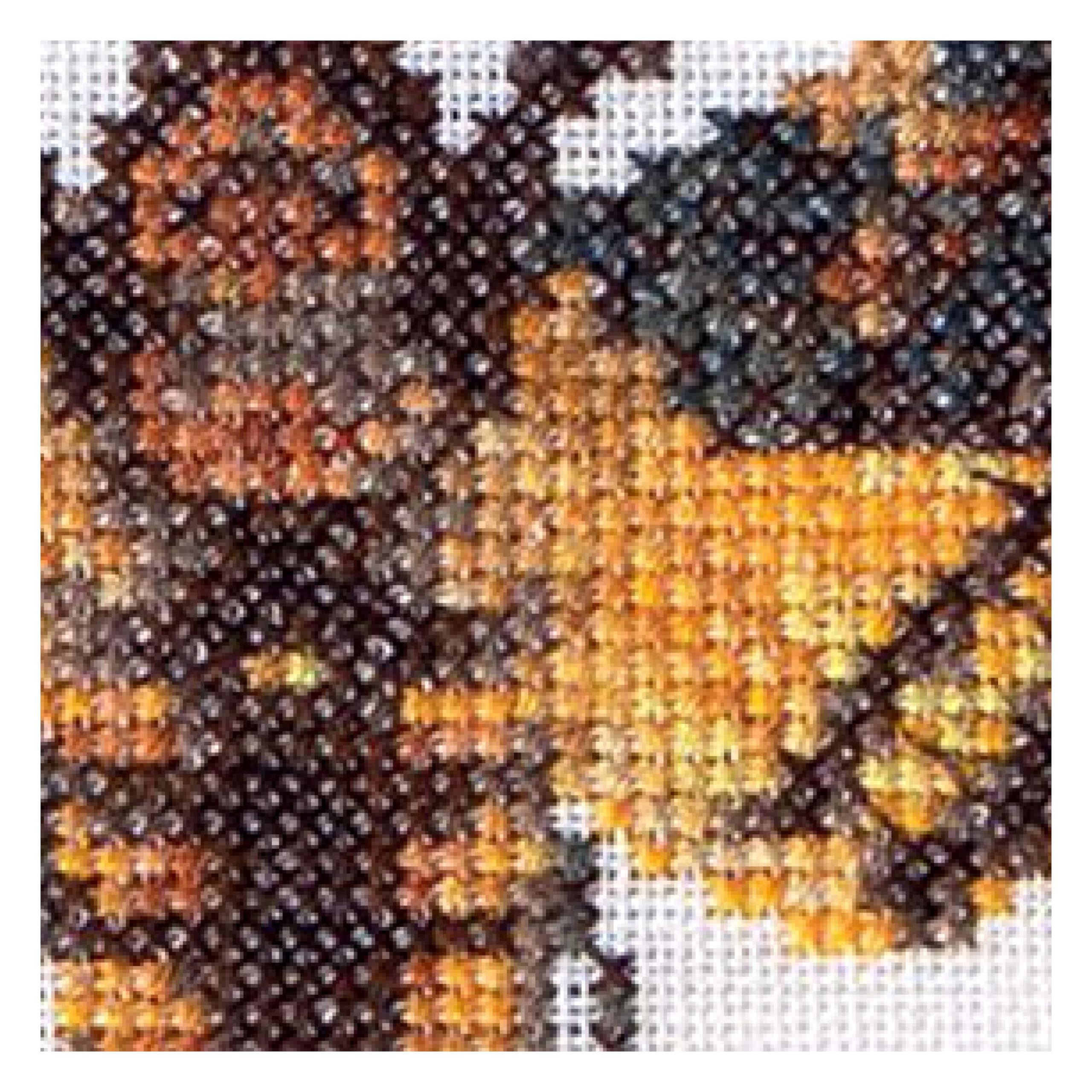 Thea Gouverneur - Counted Cross Stitch Kit - Death's-Head Hawk Moth - Aida - 16 Count - Embroidery Kit for Adults - DMC Embroidery Threads and Other Cross Stitch Supplies Included - 563A