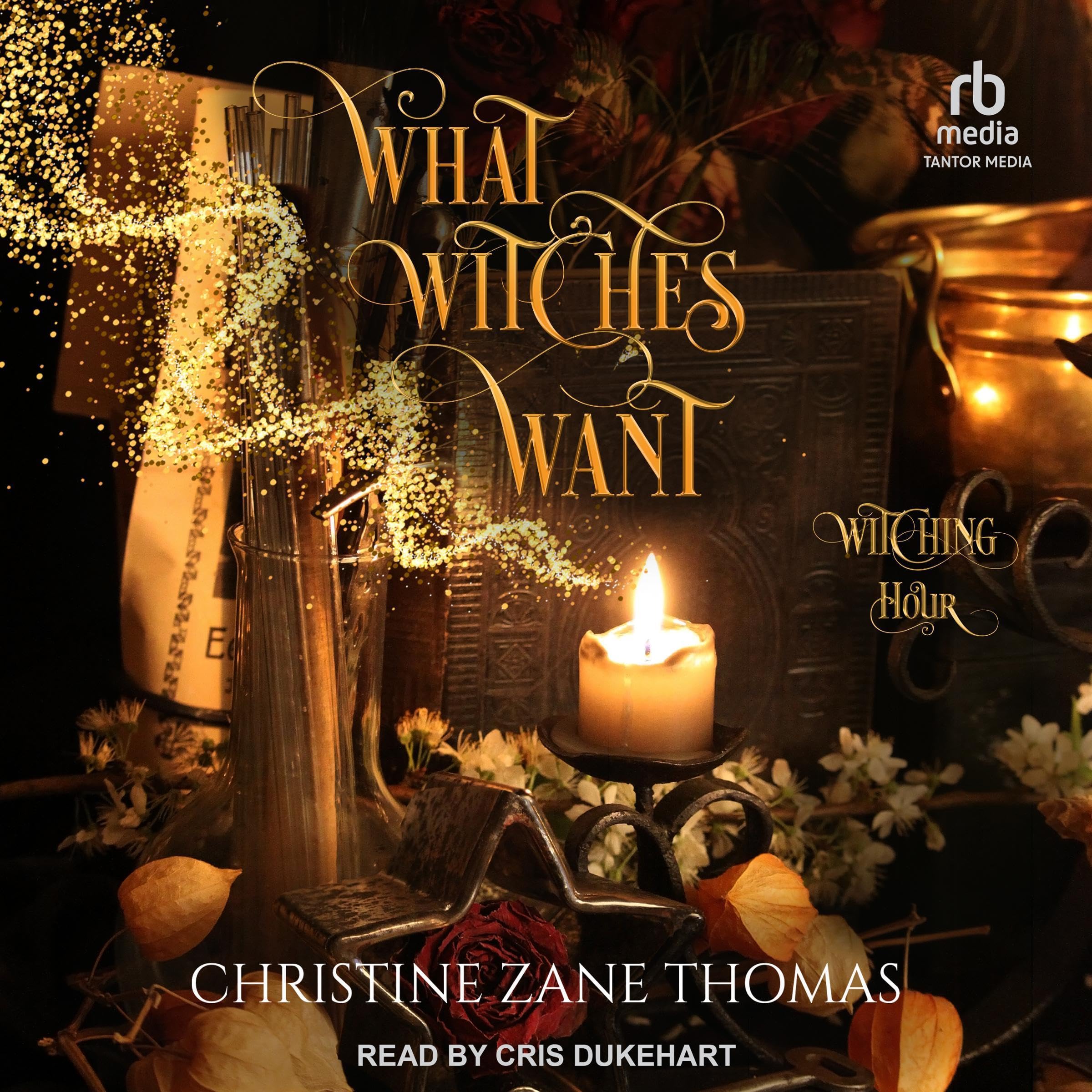 Cover art for What Witches Want