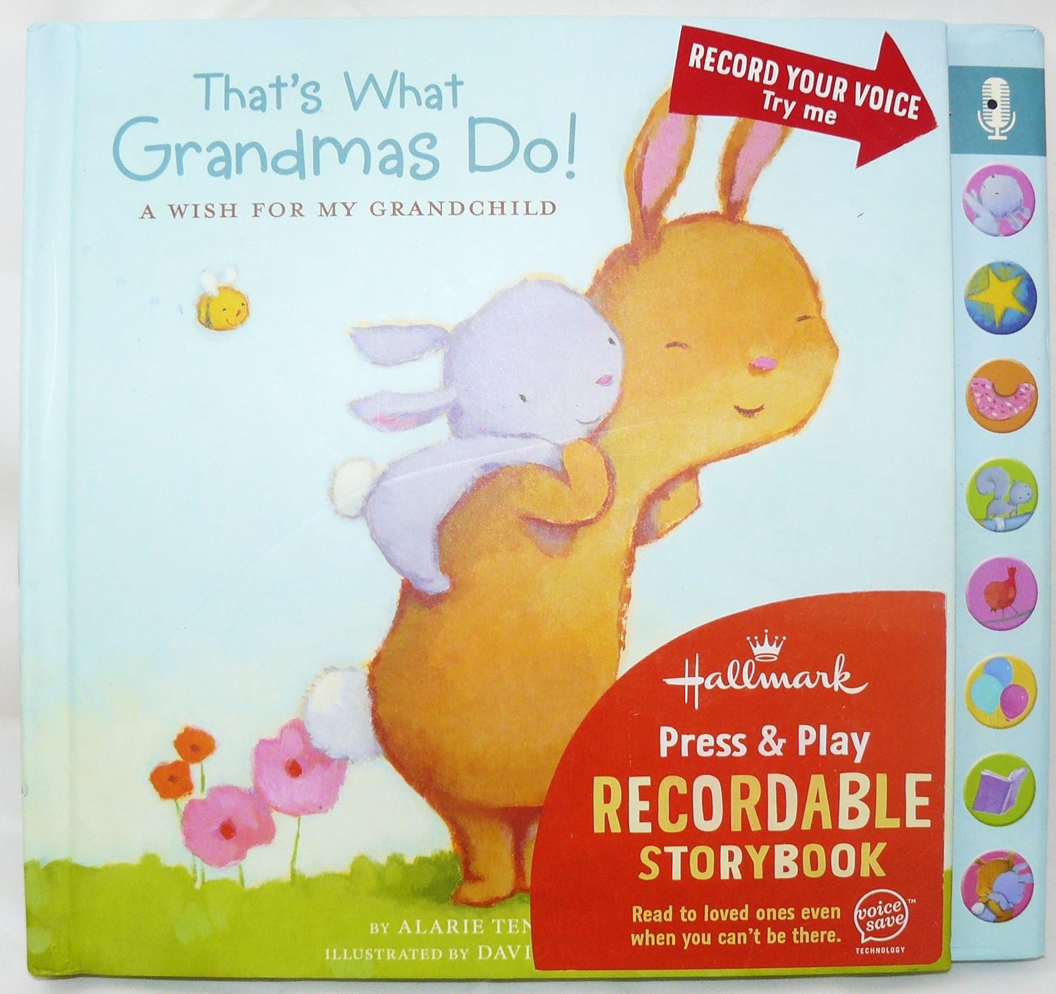 Hallmark Press & Play Recordable Storybook That's What Grandmas Do