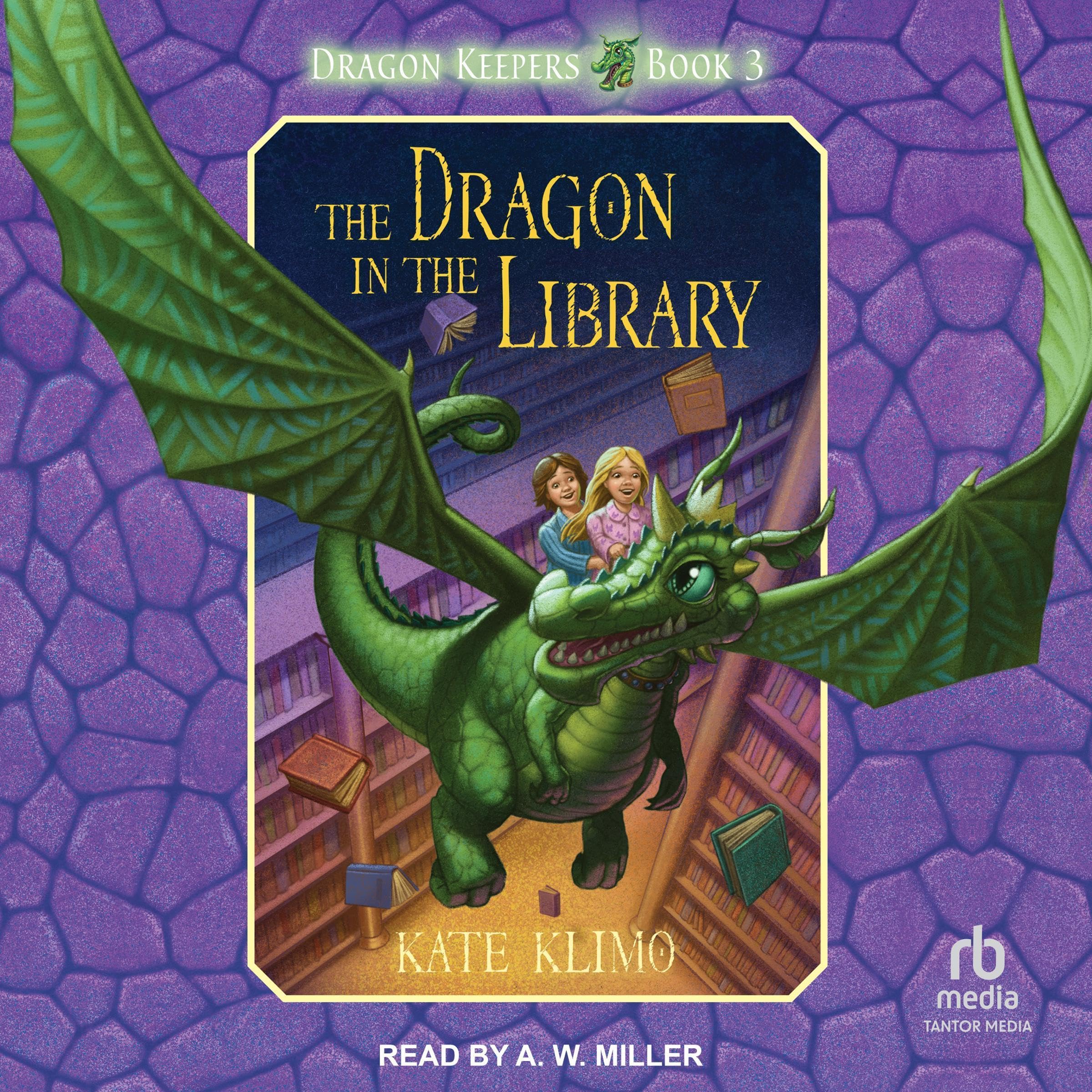 Cover art for The Dragon in the Library