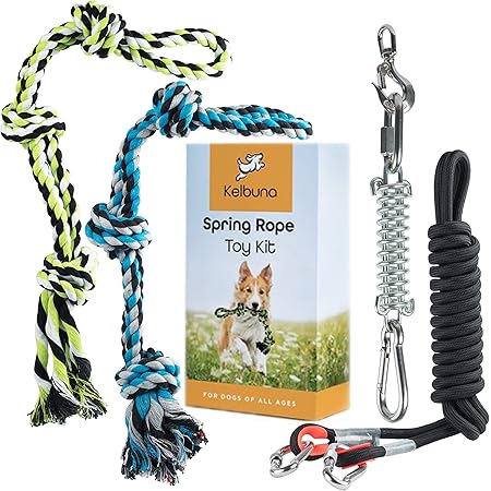 spring rope for dogs
