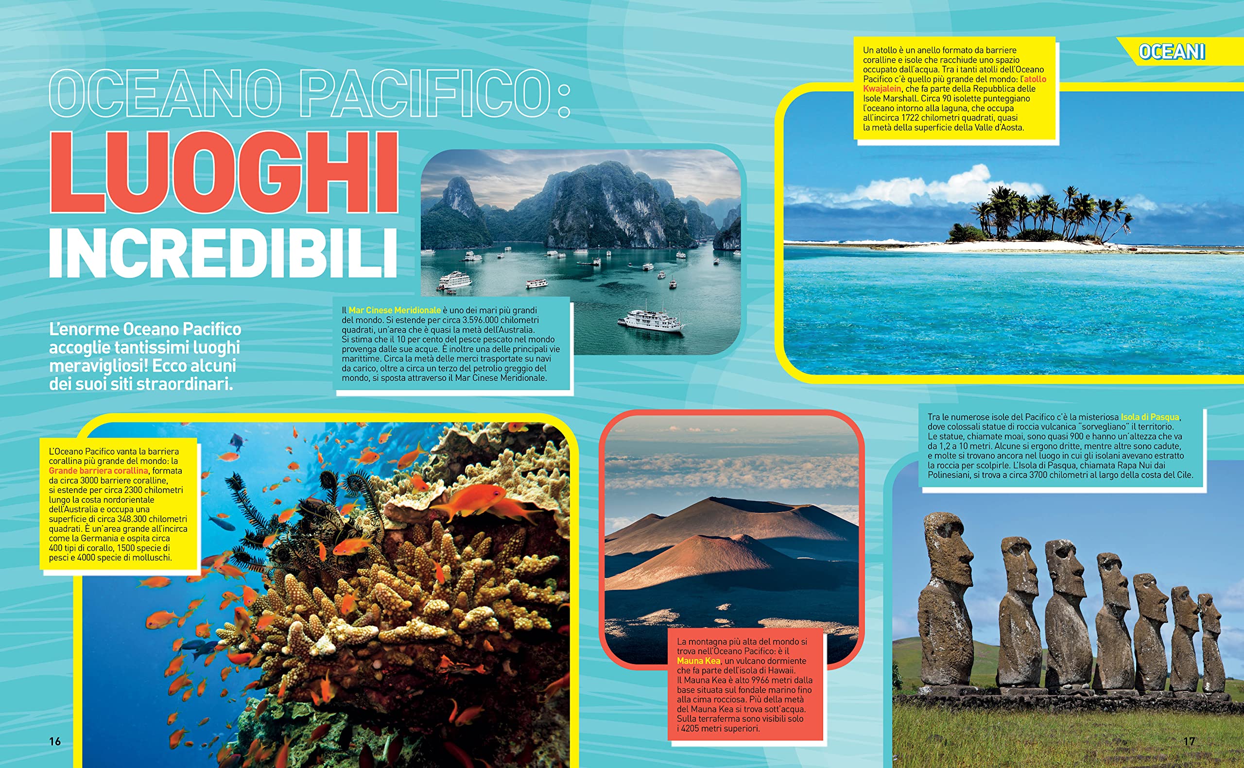Enciclopedia Oceani - La grande enciclopedia degli oceani | Edizione a colori | Guida completa alla vita marina, Atlante illustrato