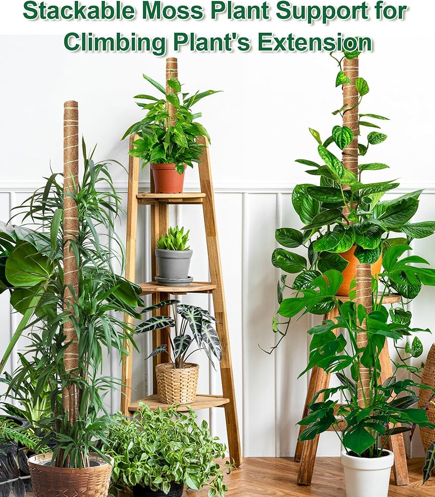 【Fumiti】21-22 MOSS STICK【70 SW Amazon.com : 4 Pack 22 Inch Moss Poles, Stackable Moss Pole for