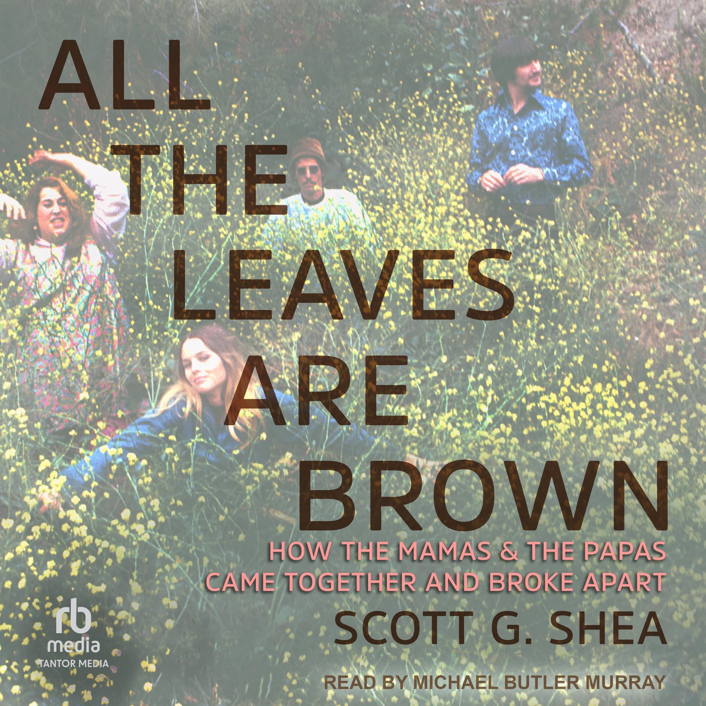 Cover art for All the Leaves Are Brown