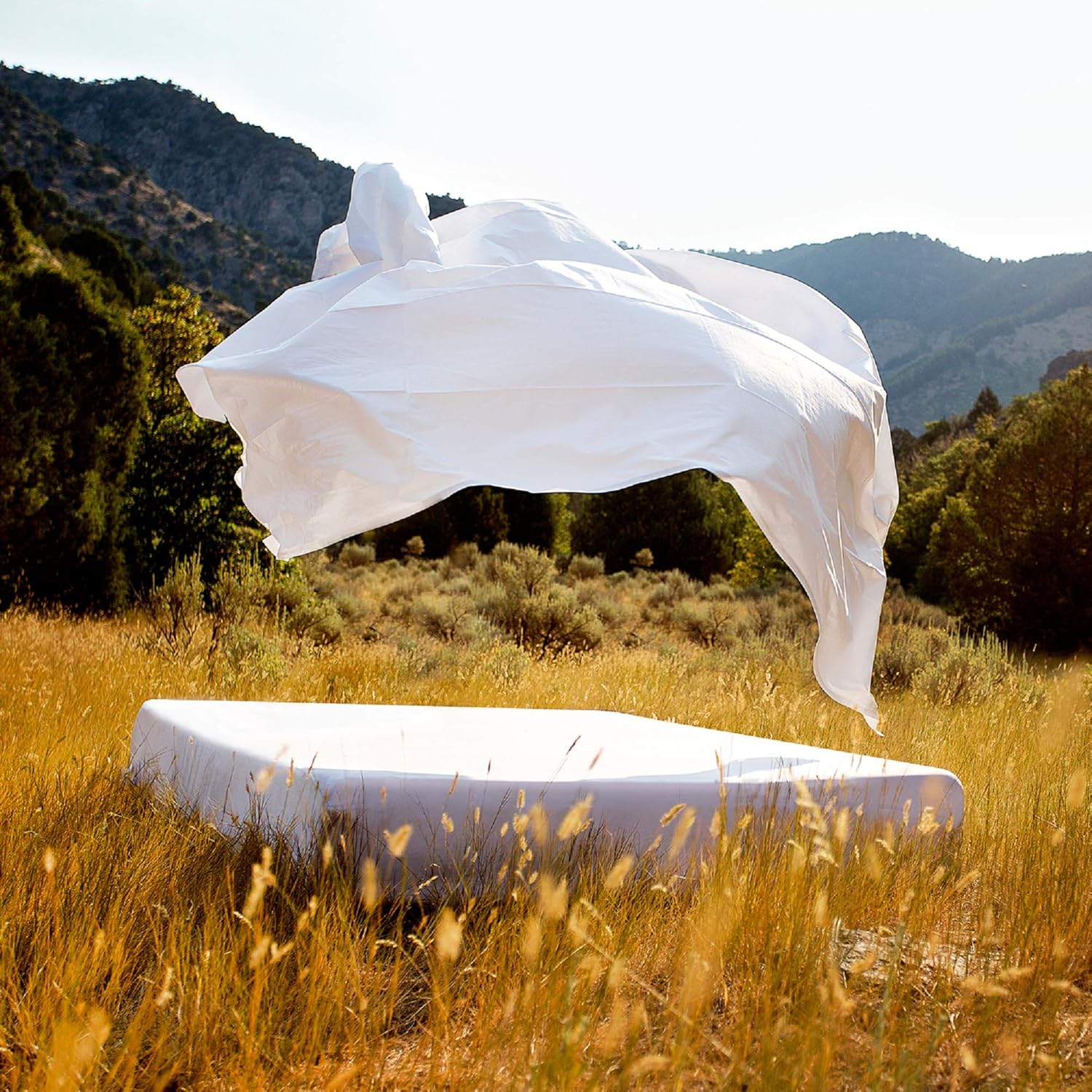 Top Rated MALOUF Italian 400 Thread Count Cotton Percale Sheets-100% Authentic Egyptian Cotton-Made in Italy-Split King-White Flash Sale Buy 1 get 1 MALOUF Italian 400 Thread Count Cotton Percale Sheets-100% Authentic Egyptian Cotton-Made in Italy-Split King-White