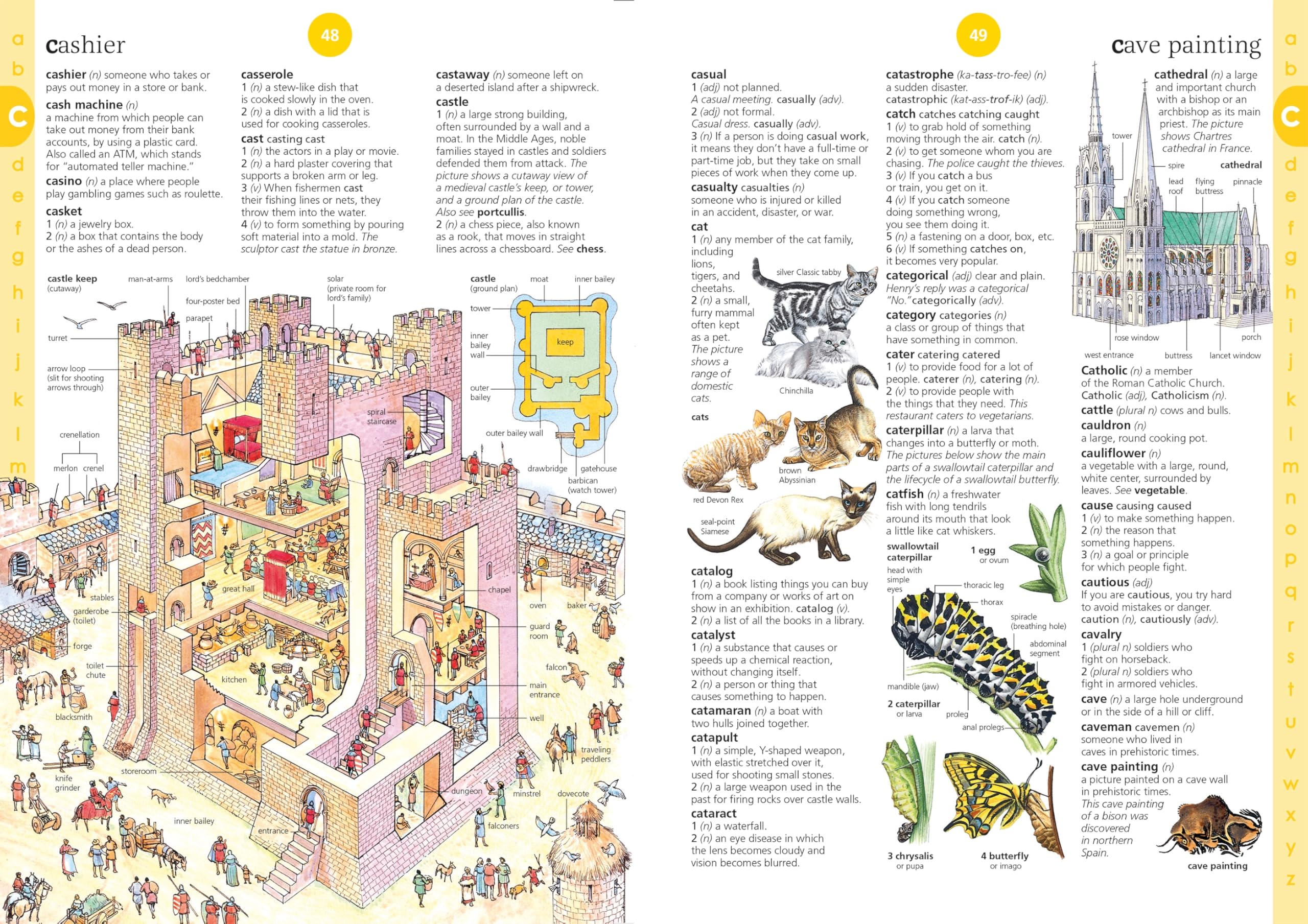 Illustrated English Dictionary: 2 (Usborne Illustrated Dictionaries and Thesauruses)
