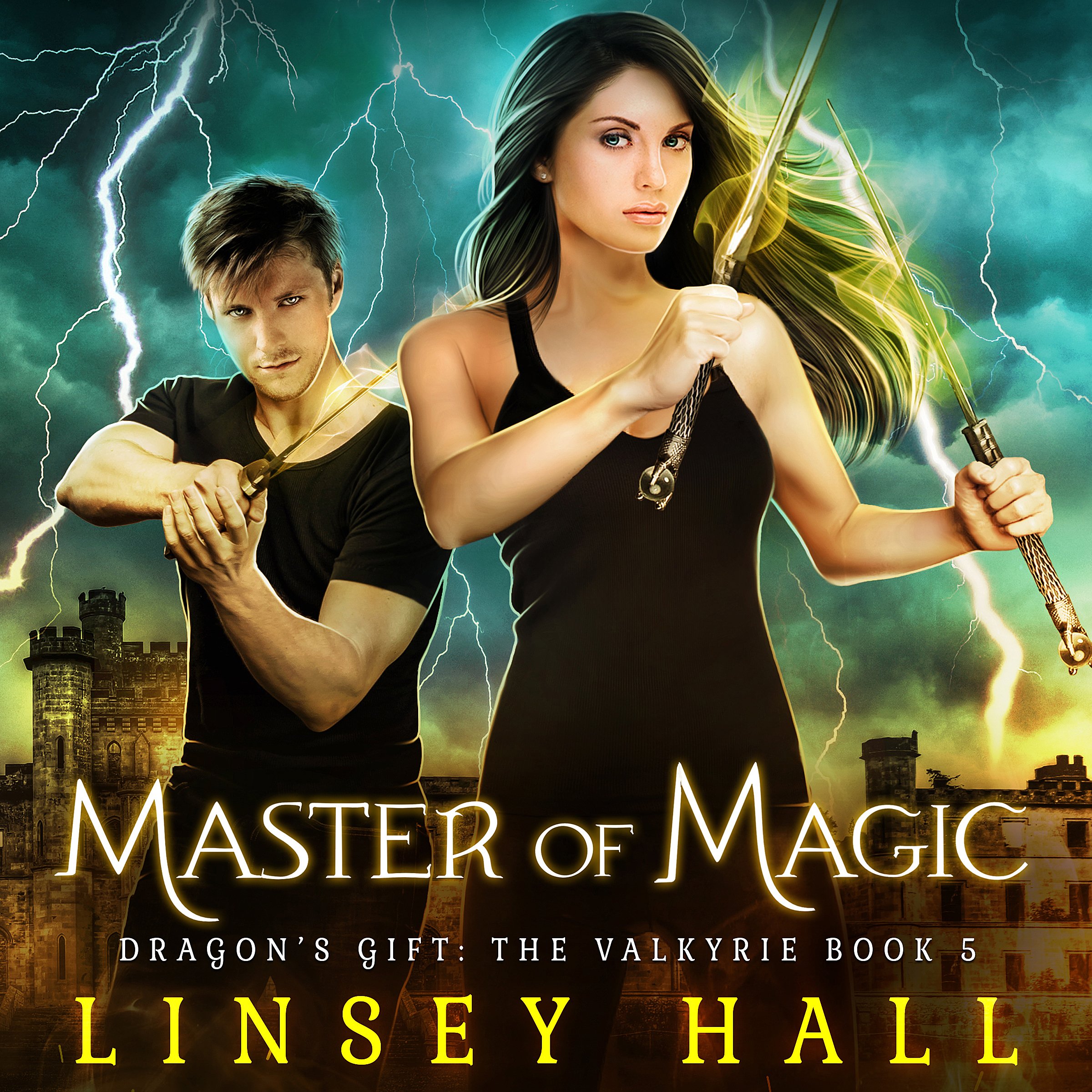Cover art for Master of Magic: Dragon's Gift: The Valkyrie, Book 5