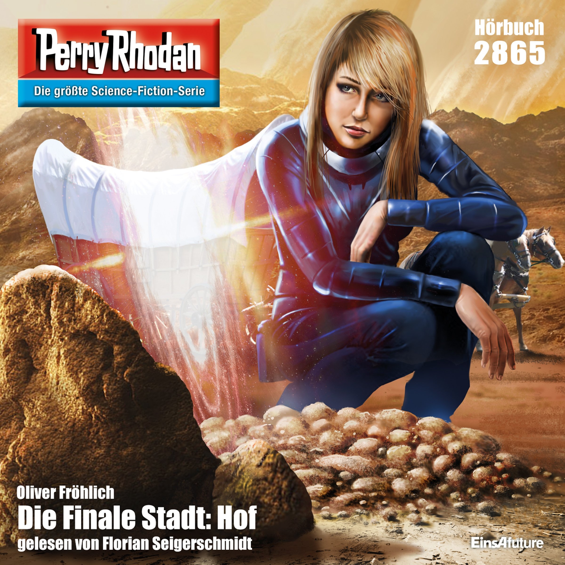 Cover art for Die Finale Stadt: Hof