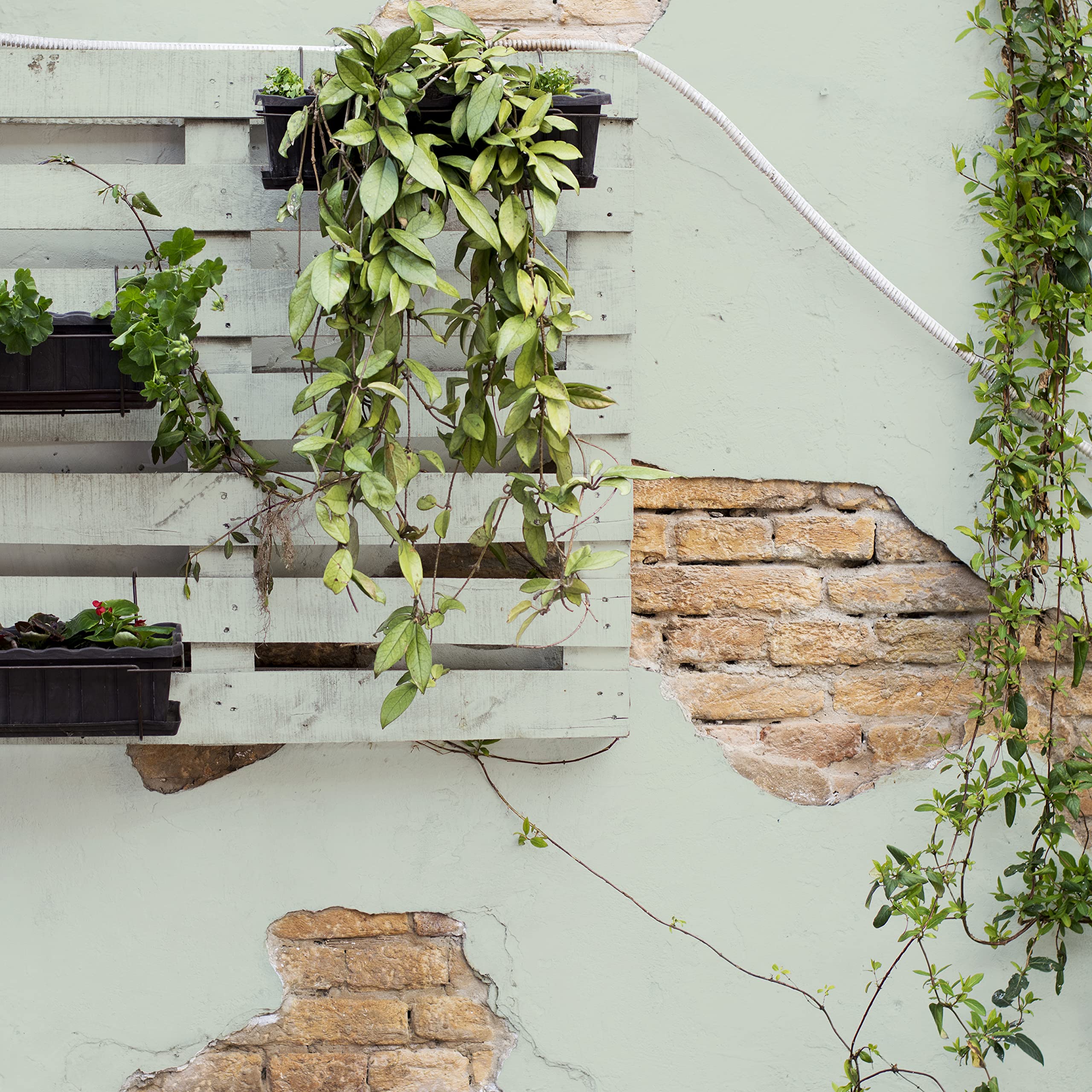 biancoShabby® Chalk Paint Verde Salvia - Pintura especial para exteriores - BiancoGarden - Restaura el jardín y el balcón sin pintar y sin acabado (1 litro)