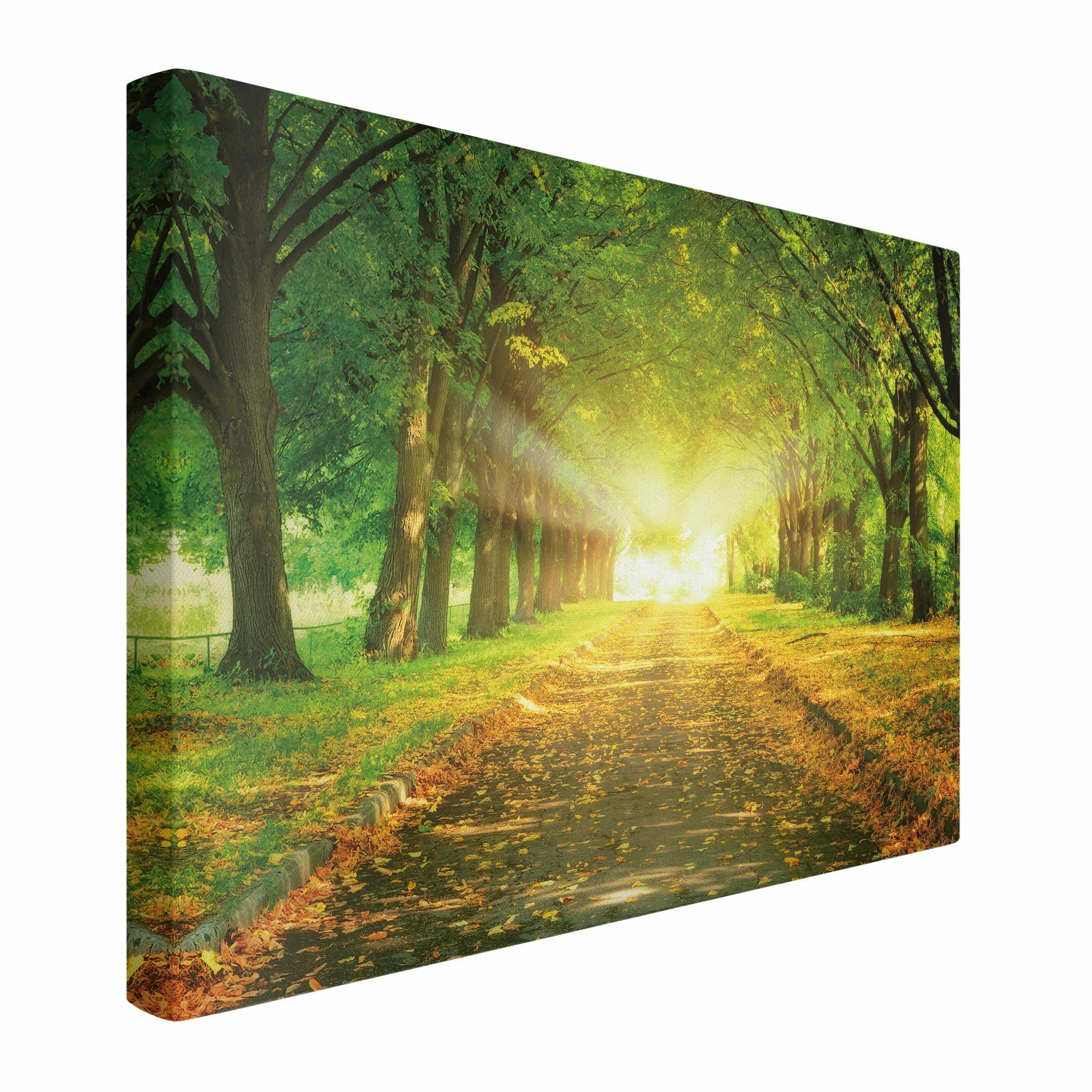 micasia Akustikbild Wald Bäume Natur Schallschutzbild 4cm Keilrahmen & Schallabsorber - Baum Modern grün Wohnzimmer Schlafzimmer Bild für bessere Raumakustik 1672 (150x100cm)