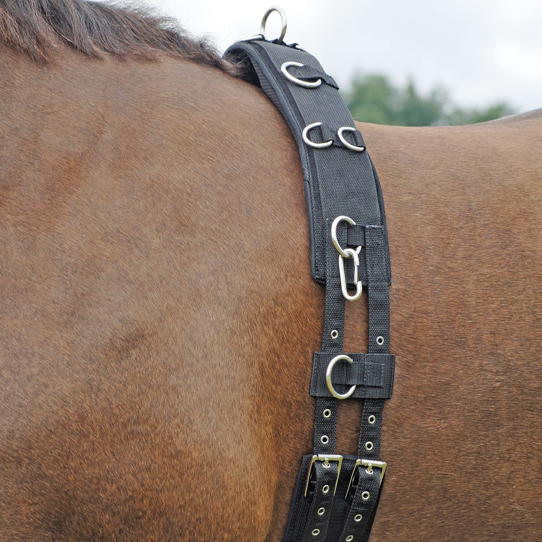 BUSSE Longiergurt Profi-Soft