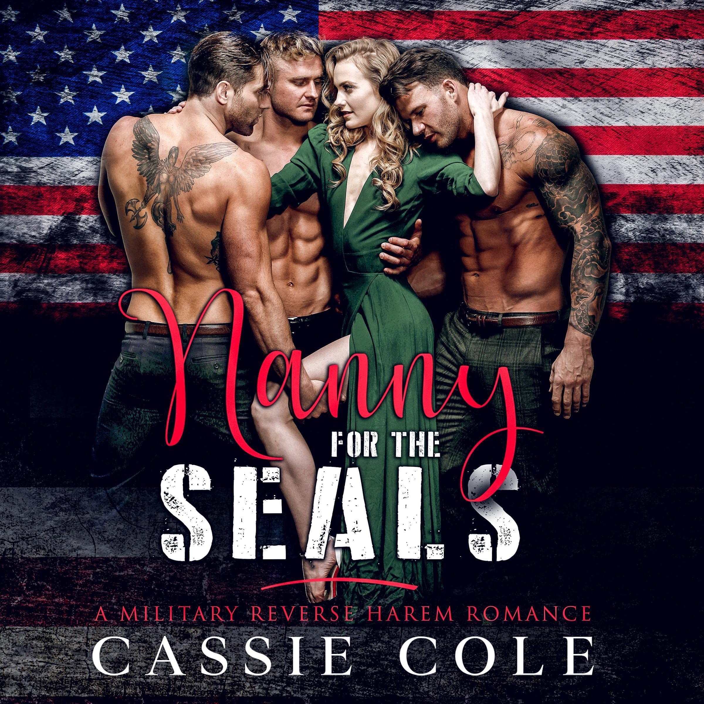 Cover art for Nanny for the SEALs