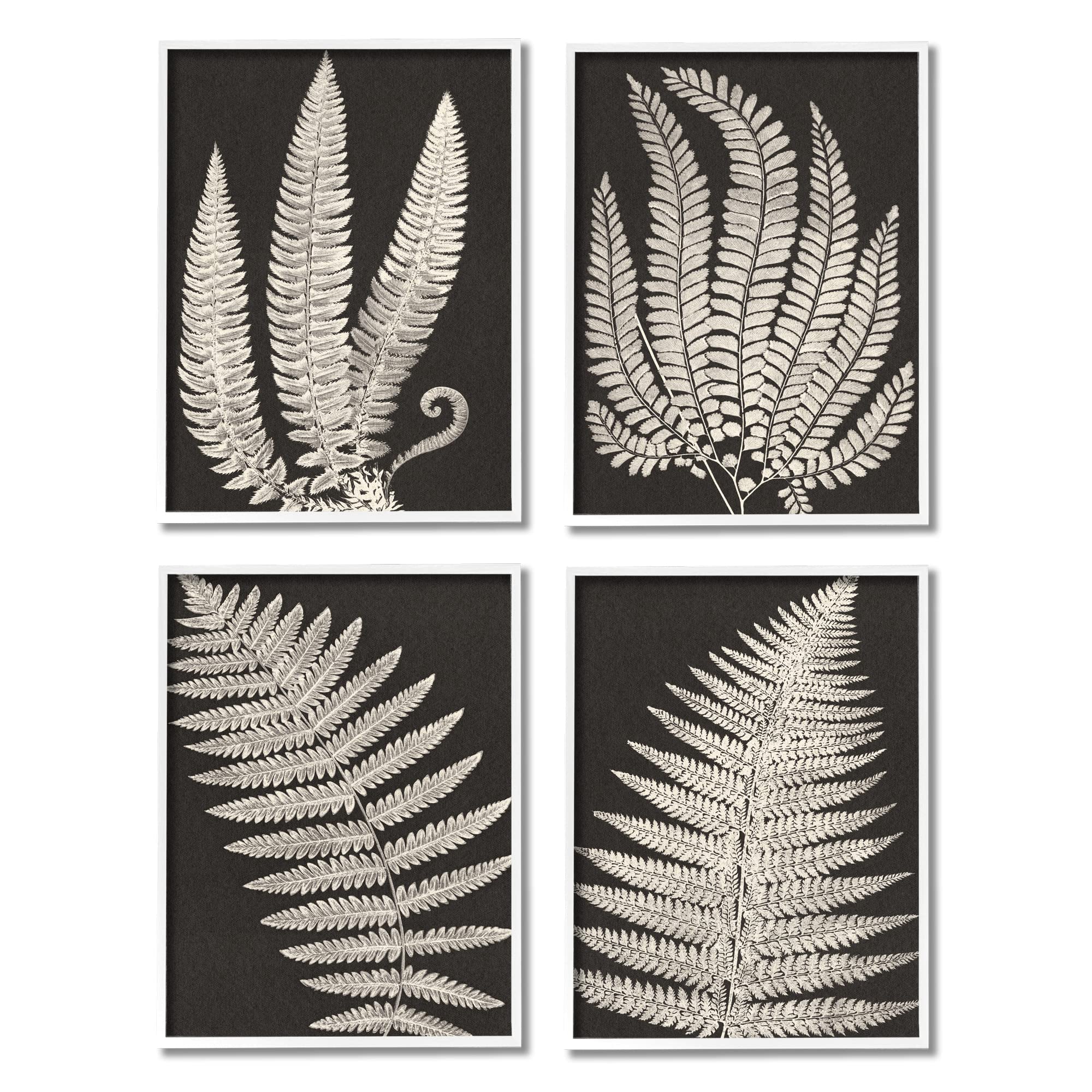 Stupell Industries Vintage Nature Fern Leaf Silhouettes 4pc Framed Giclee Art Set, Design by JJ Design House LLC