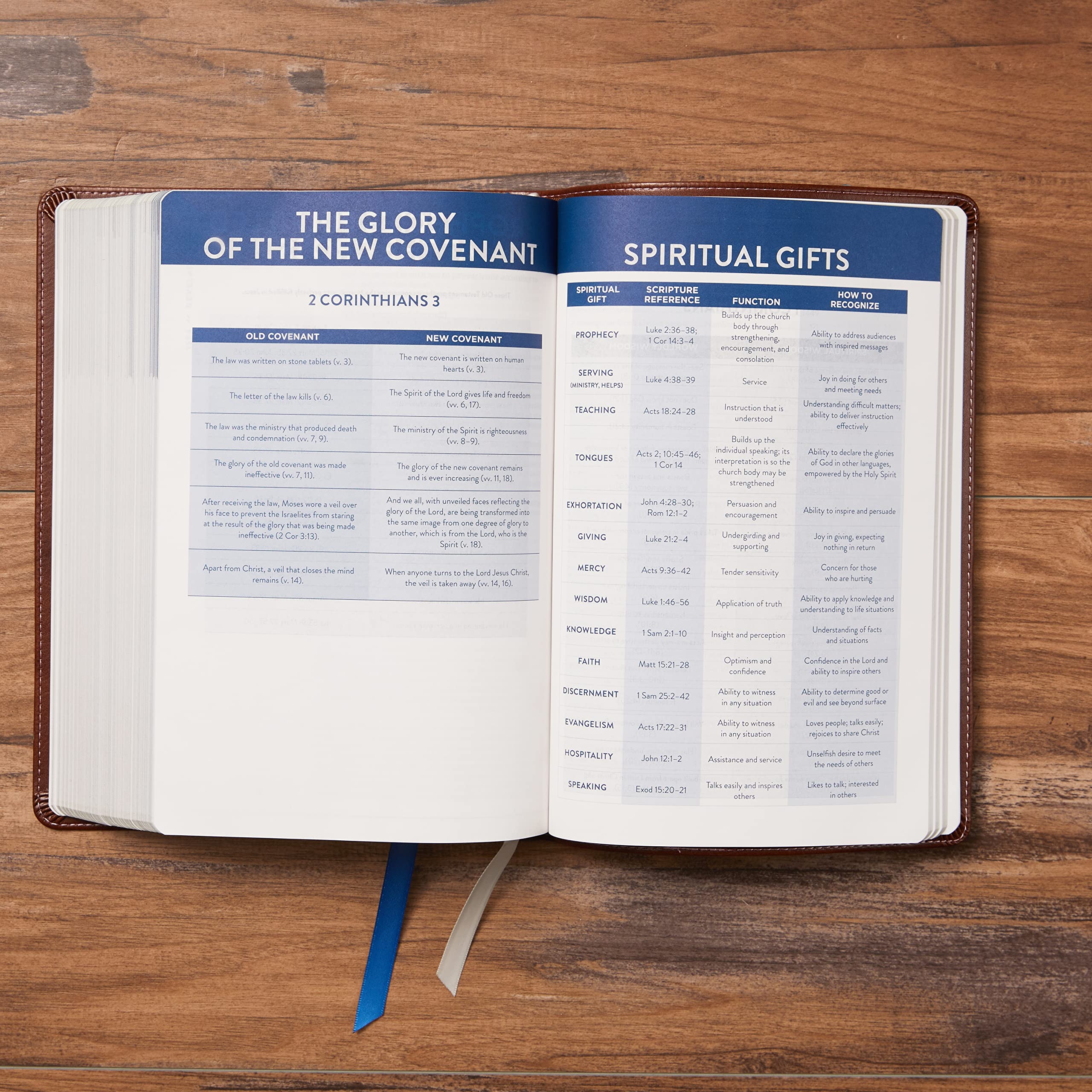 The TEXT Bible: Uncover the message between God, humanity, and you (NET, Hardcover, Comfort Print)