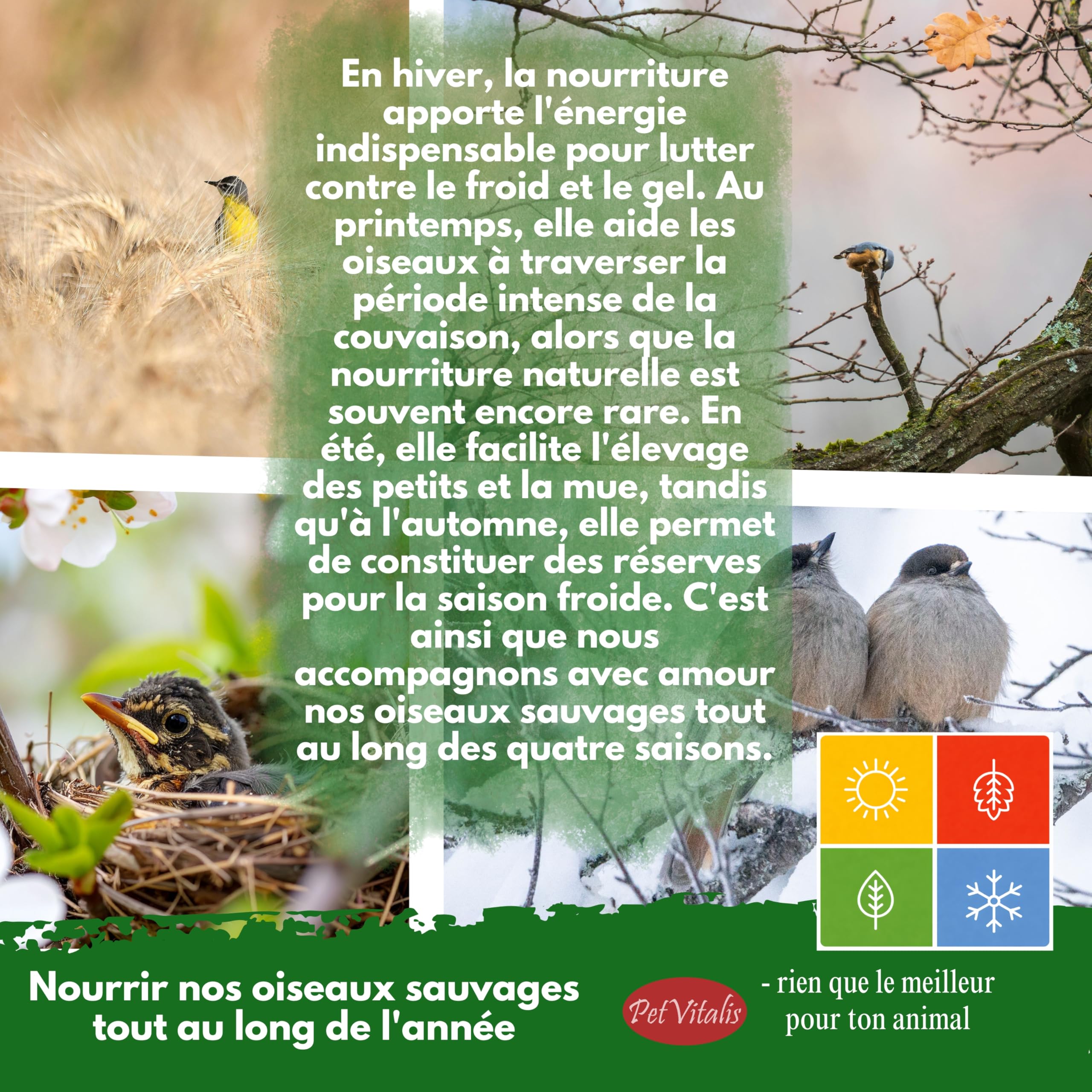 vers de Farine séchés – Aliment Complet Haut de Gamme pour Oiseaux Sauvages, complément à la Nourriture pour Oiseaux – en-Cas Riche en protéines pour Poissons, Reptiles et rongeurs (5 kg)