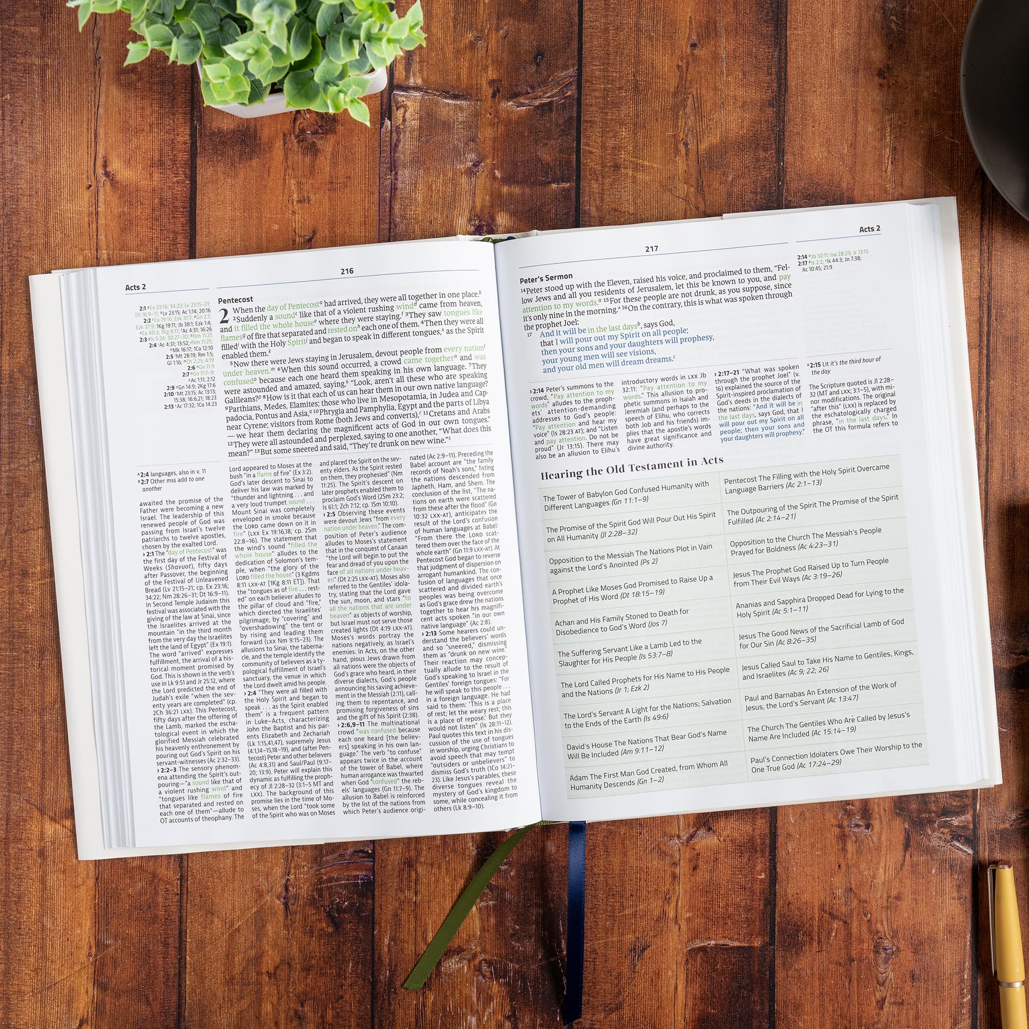CSB Connecting Scripture New Testament, Hardcover: A Study Bible of Biblical Allusions and Quotations