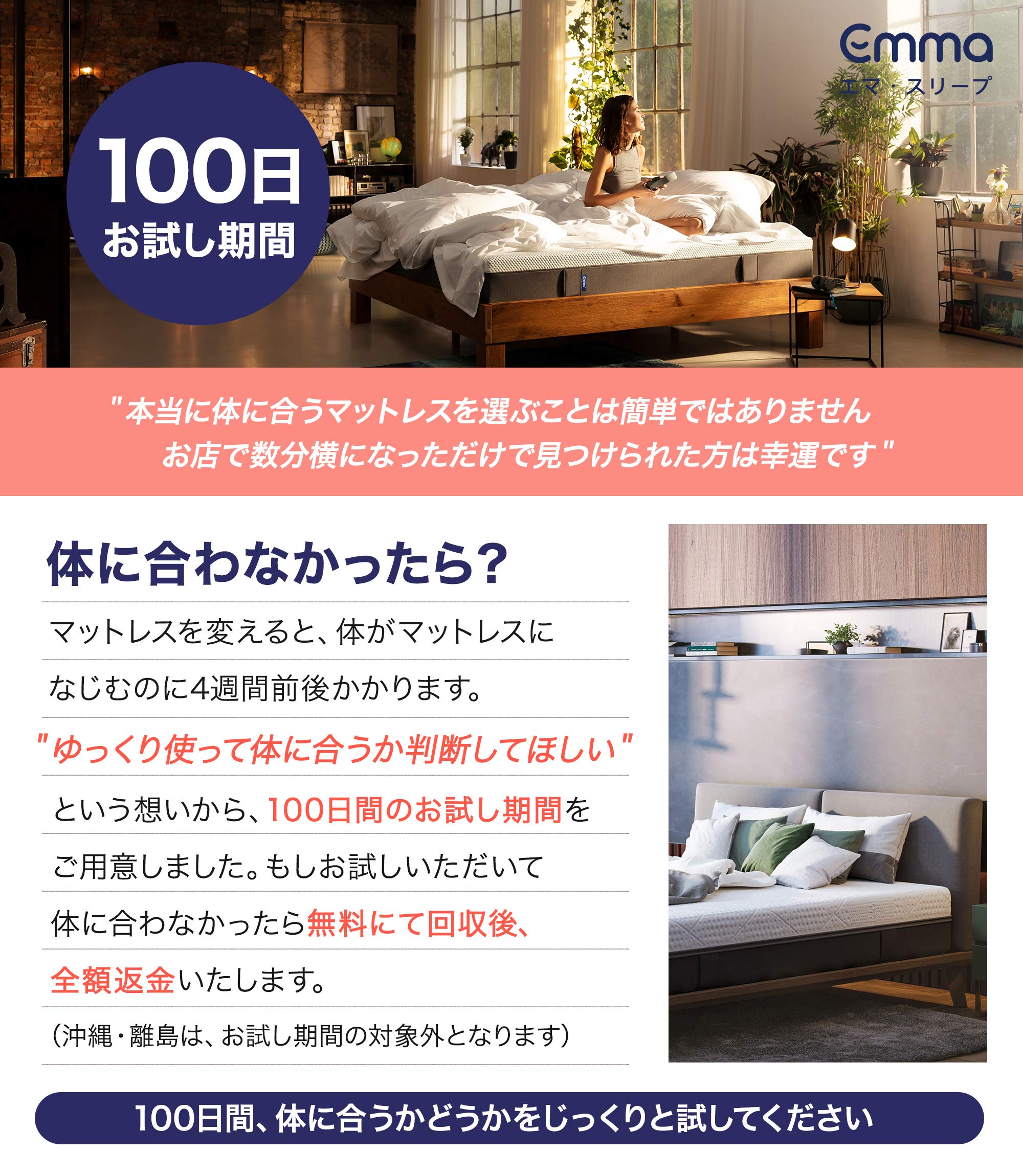 Amazon｜エマ・スリープ マットレス 【100日お試し】 高反発 体圧分散 