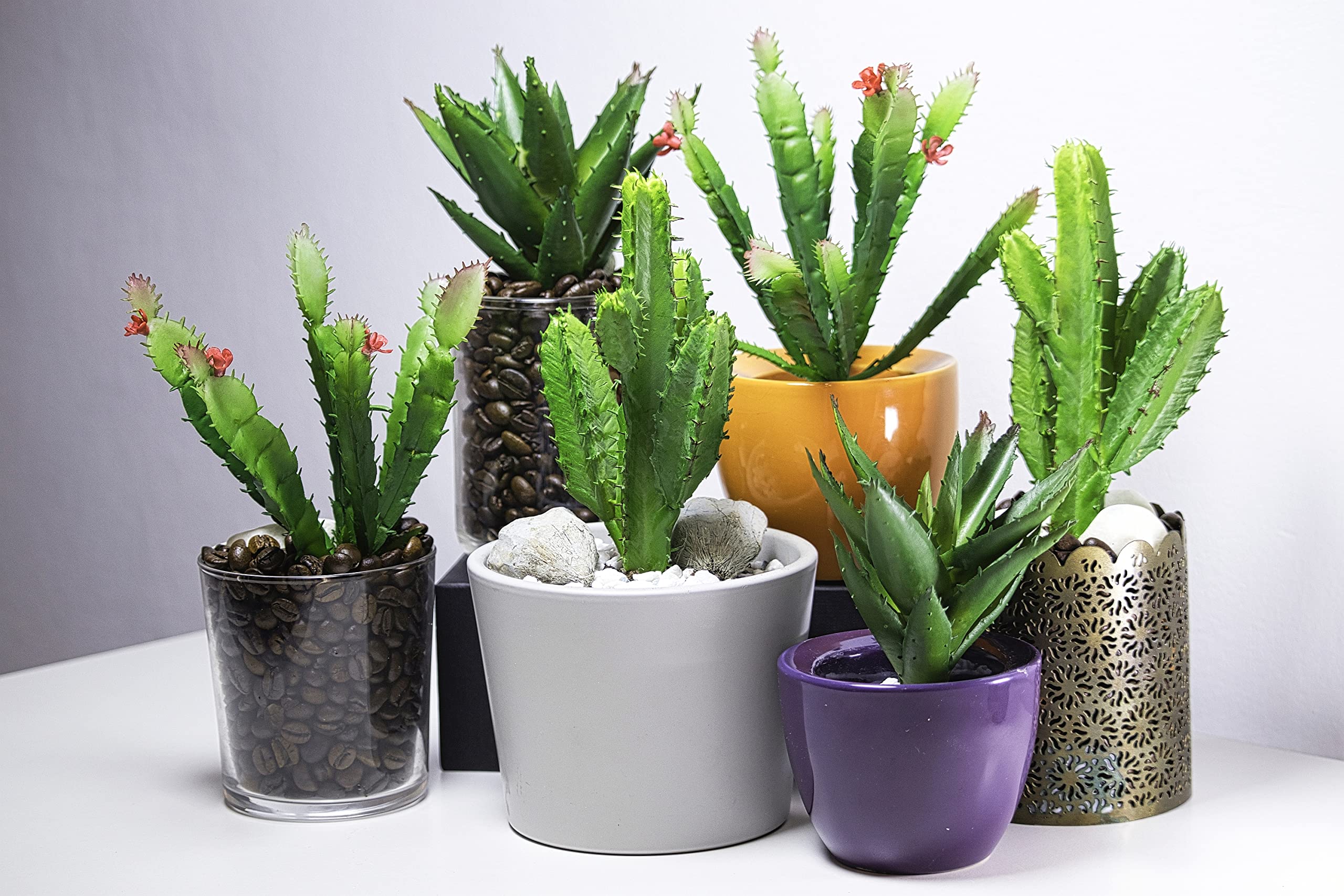 Pianta Grassa Artificiale Turelifes | Cactus Finto Realistico In Plastica Per Decorazione Casa E Giardino, Colorata E Carina, Senza Manutenzione (Color6) - 5