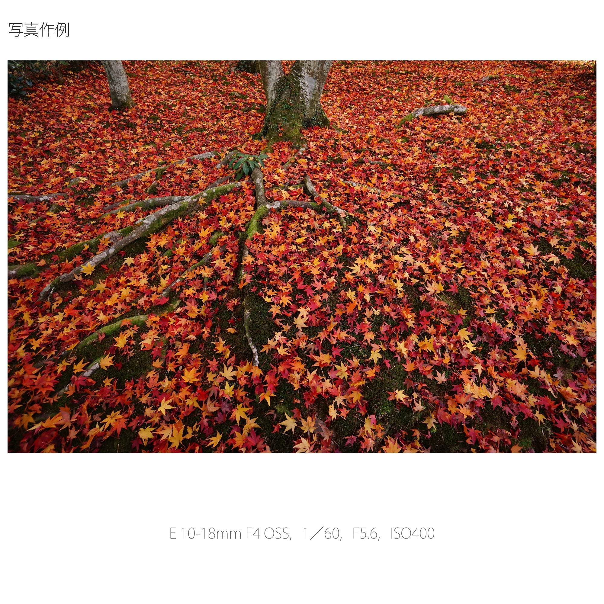 Amazon | SONY 広角ズームレンズ E 10-18mm F4 OSS ソニー Eマウント用 