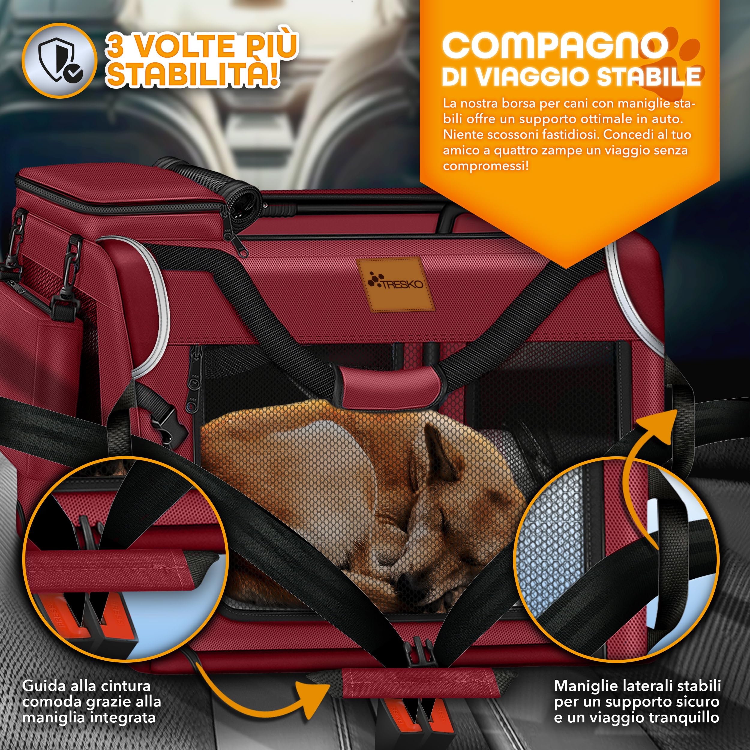 TRESKO® - Box per cani pieghevole, con tappetino per perdite e spatola, trasportino robusto per cani e gatti di taglia piccola e grande, S (50 x 34 x 34 cm), color antracite