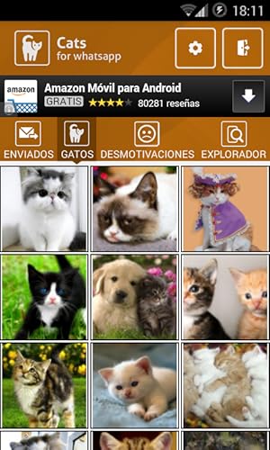 WhatsApp Cats
