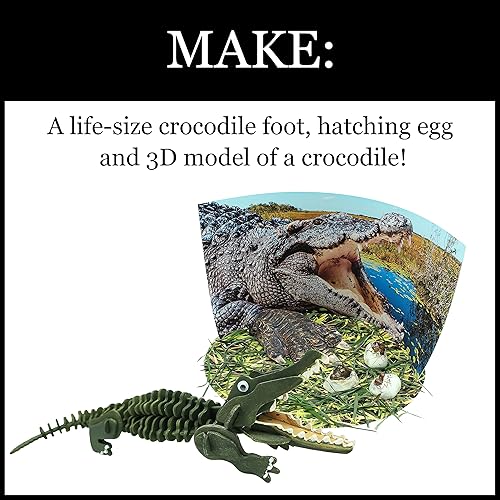 Miniatura 4 de WILD! Science - Ciencias Ambientales - Cocodrilos Extremos del Mundo - Para mayores de 6 años - Crear y personalizar modelos y dioramas - Estudia