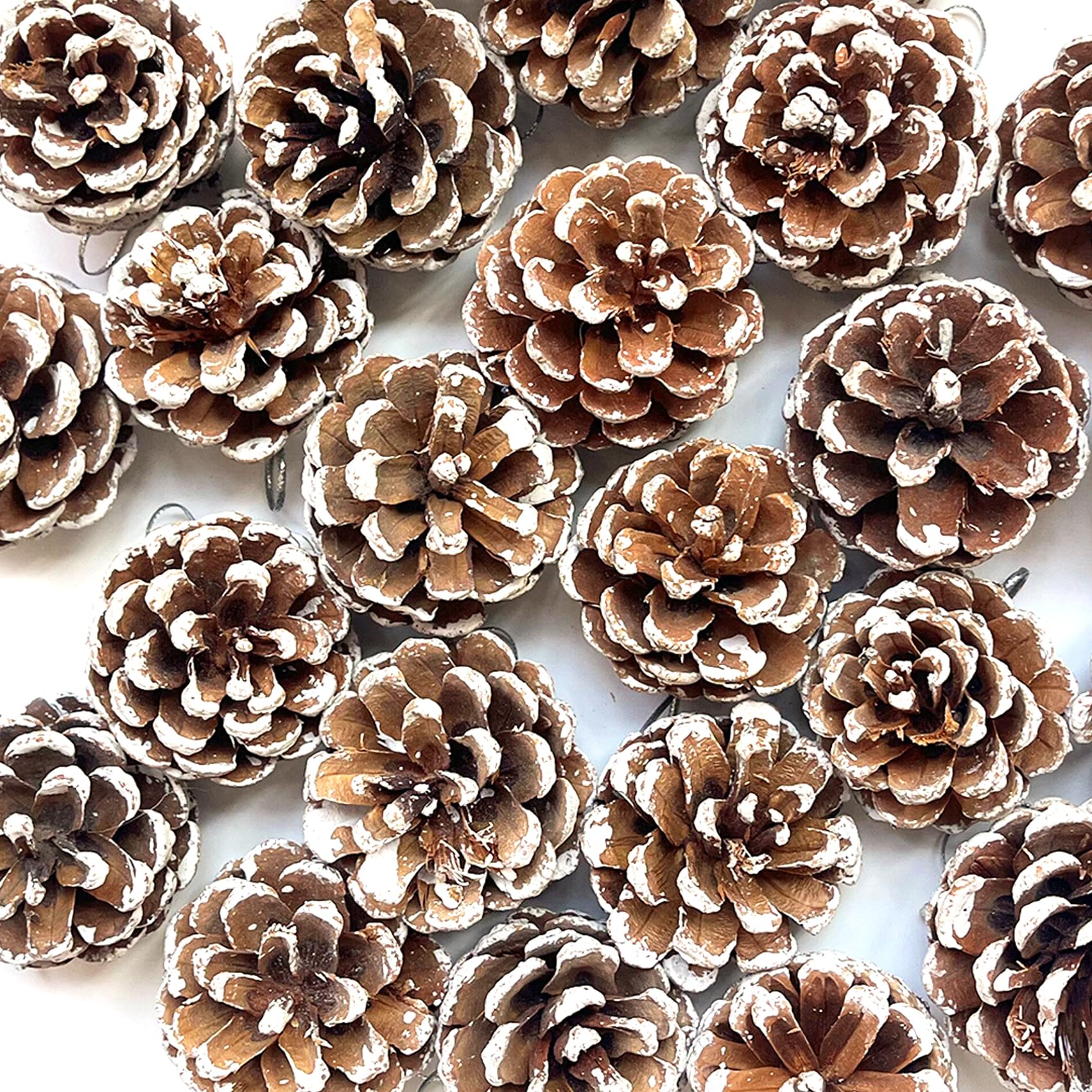 Potwpot White 20Pcs Snow Pine Cones Large Pine Cones With String For Craft Winter Holiday Hanging Ornament Home Decorations (5-6Cm)