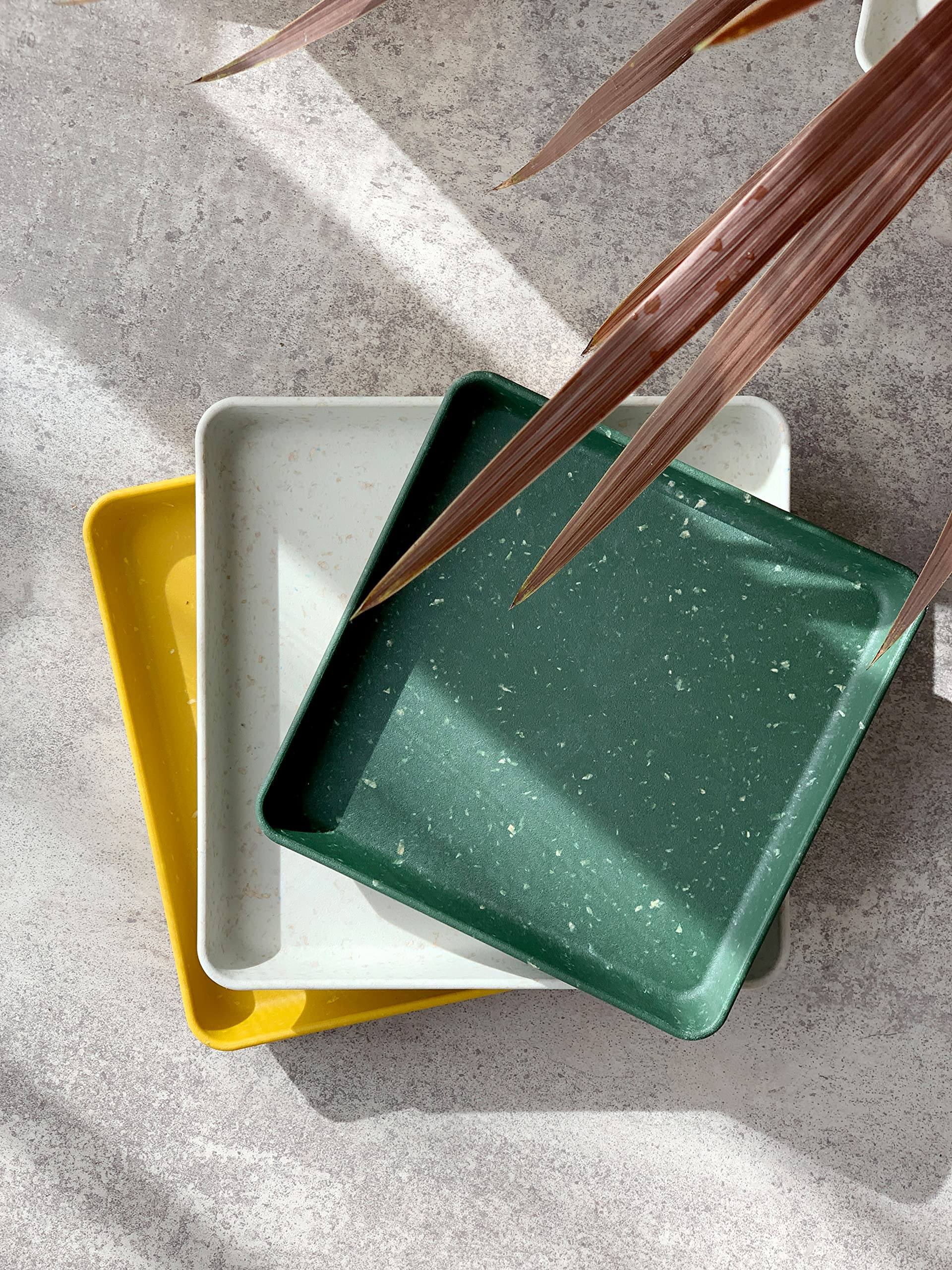 Hachiman Kasei 241584 Eco Plate/Saucer Square 190 White Papier Hachiman Gardens Papier, Made in Japan