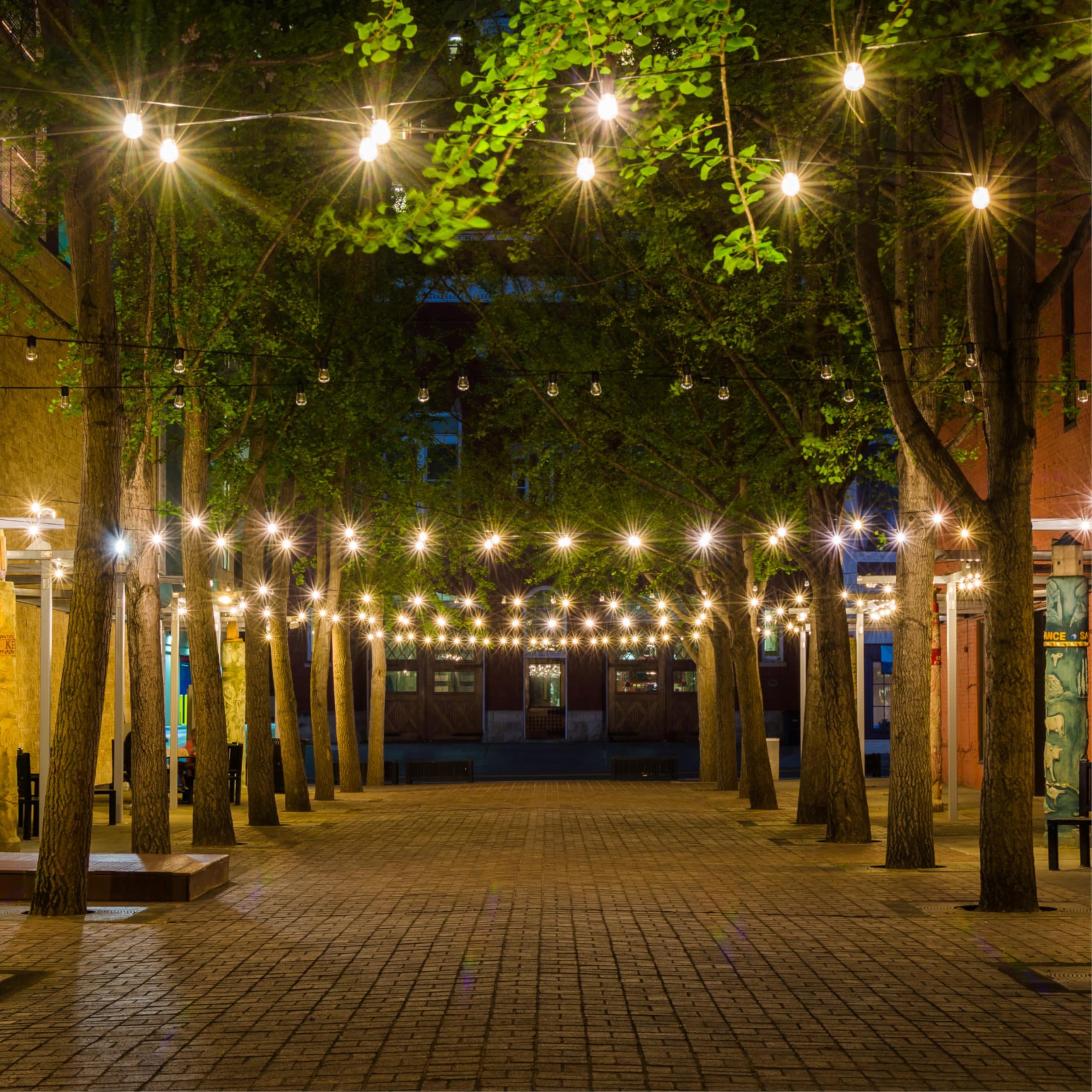 Westinghouse Lighting 5281000 1 Watt 15 Watt Equivalent S14 Clear Filament LED Light Bulb Medium Base — view 5