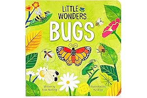 Little Wonders BUGS - Introduction to the World of Bugs