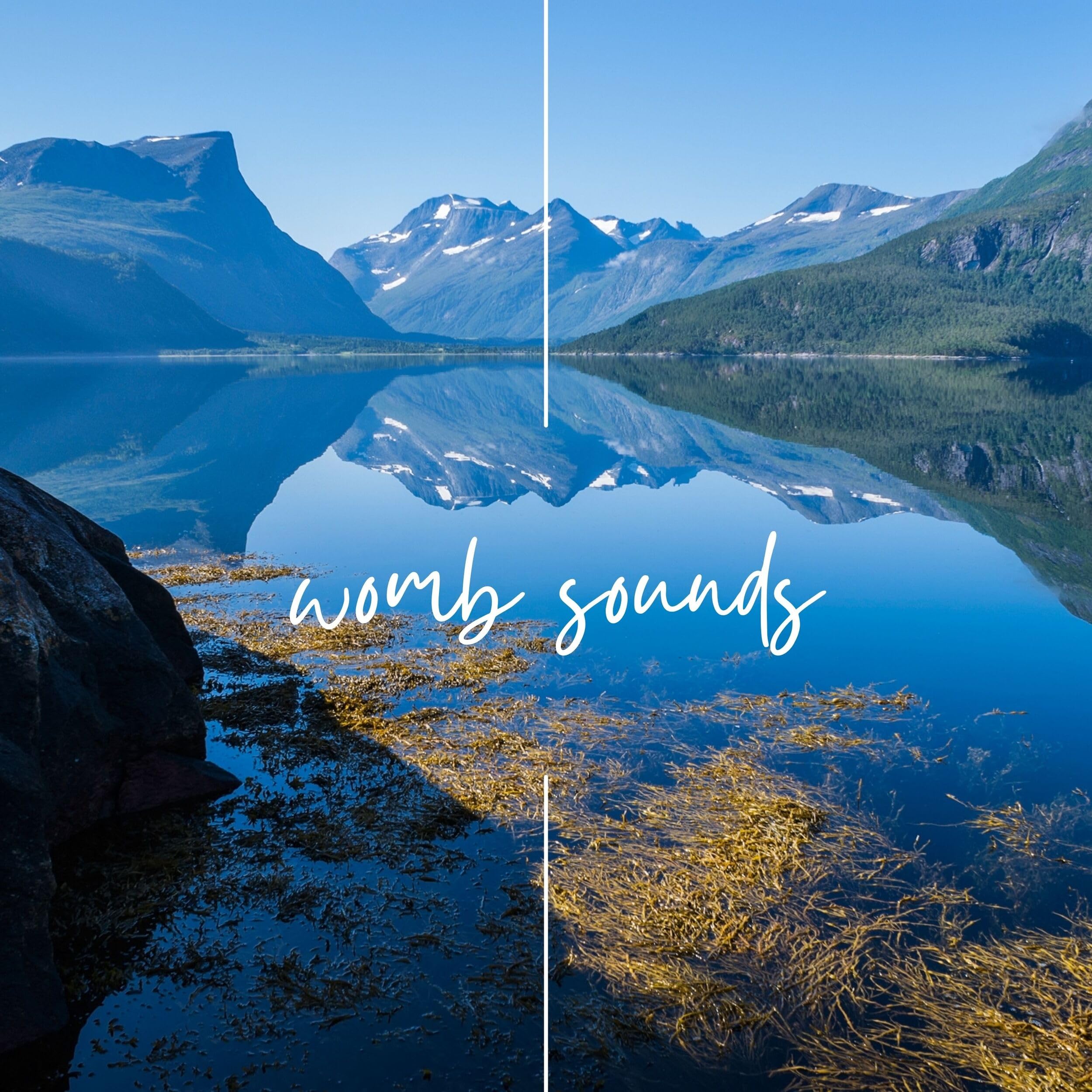 Womb Sounds For Baby