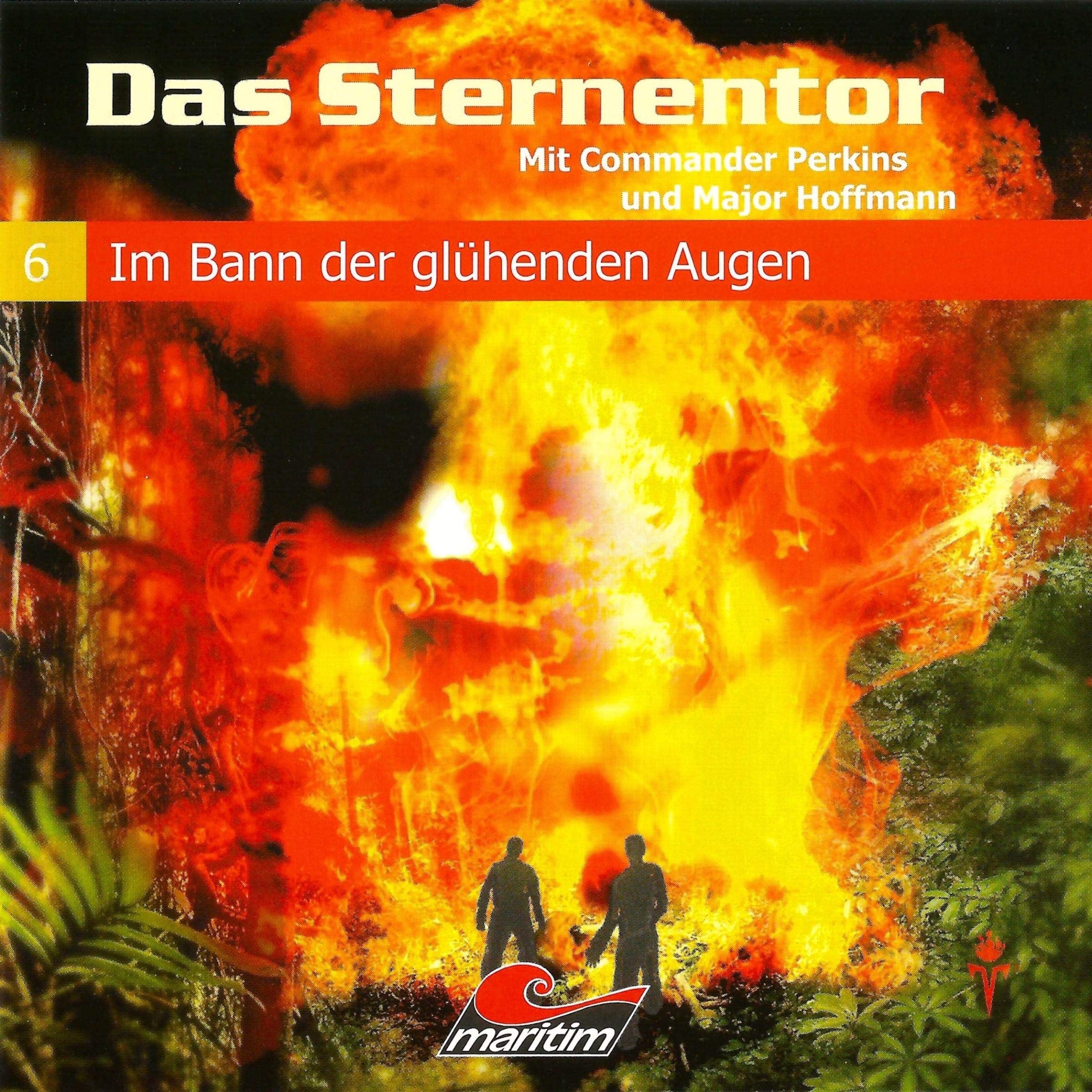 Cover art for Im Bann der glühenden Augen