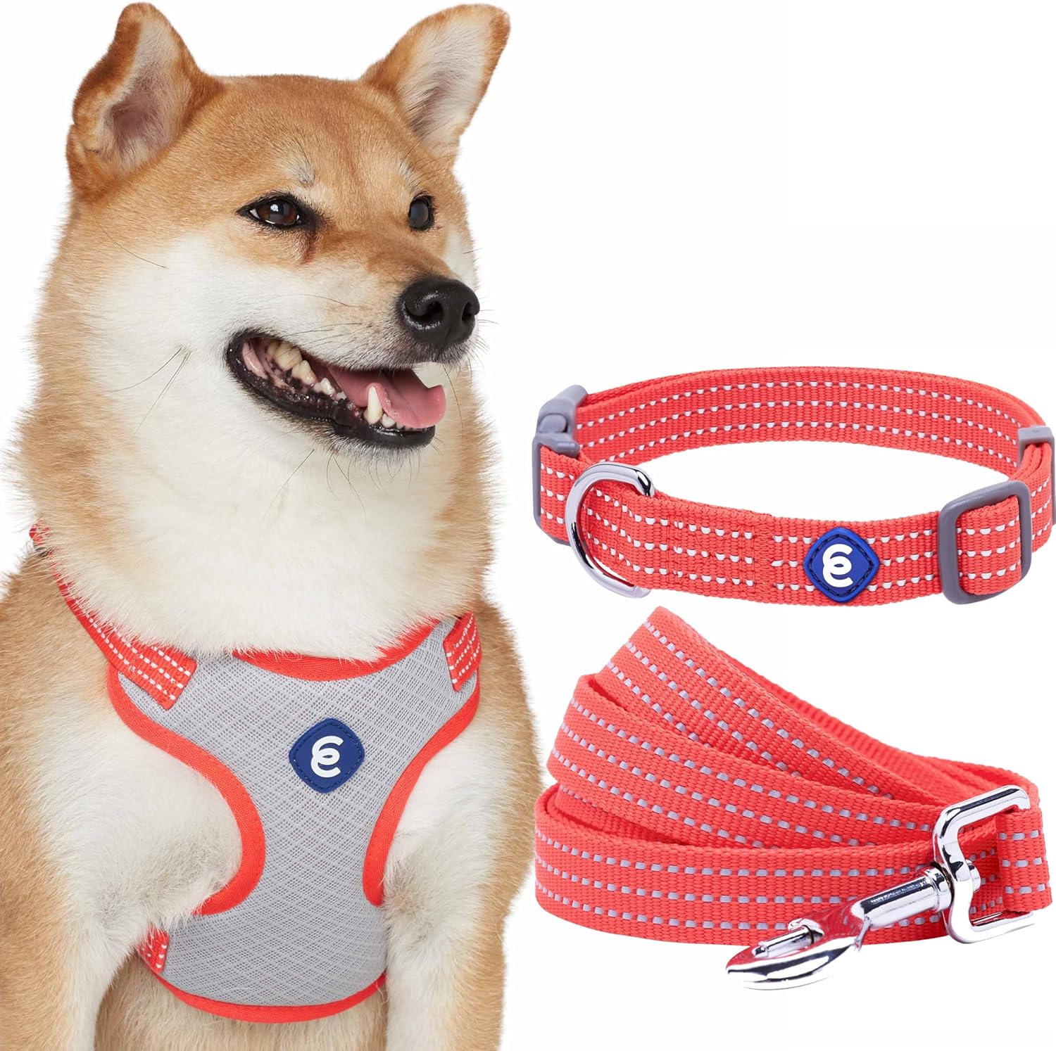 Blueberry Pet Essentials Reflective Better Basics Matching
